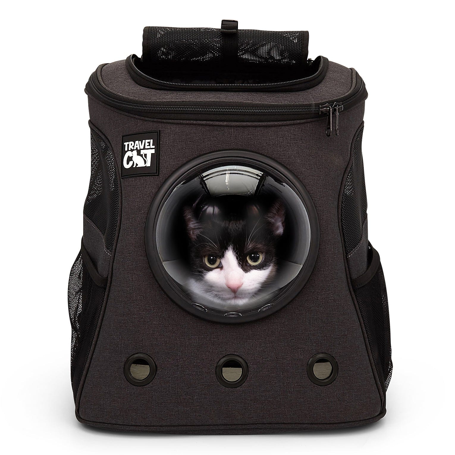 The Adventure Cat Essential Bundle: Cat Backpack. Harness. Leash. and Travel Bowl