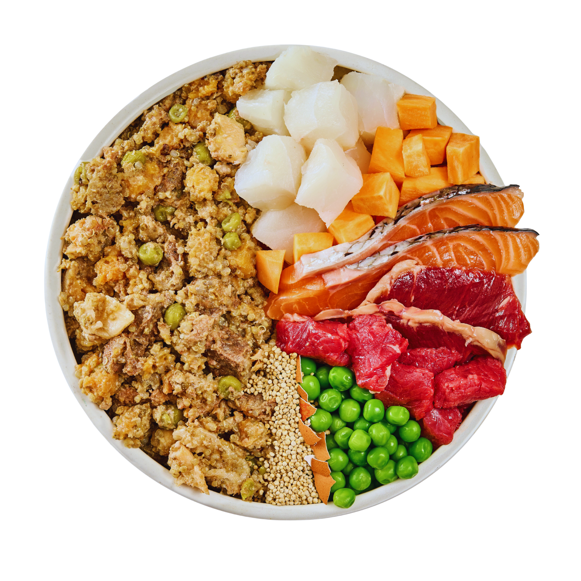 Fish and Beef Fresh Dog Food