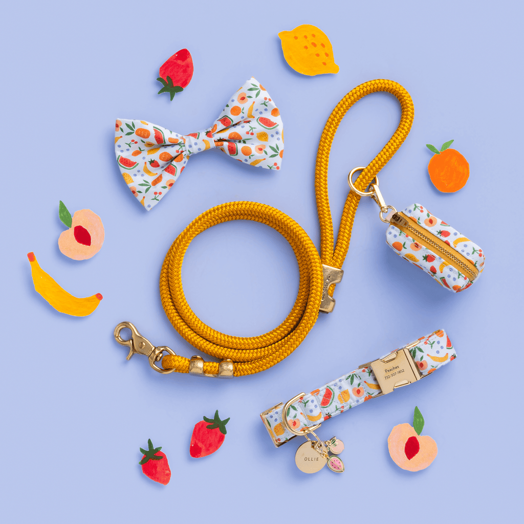 Goldenrod Marine Rope Dog Leash