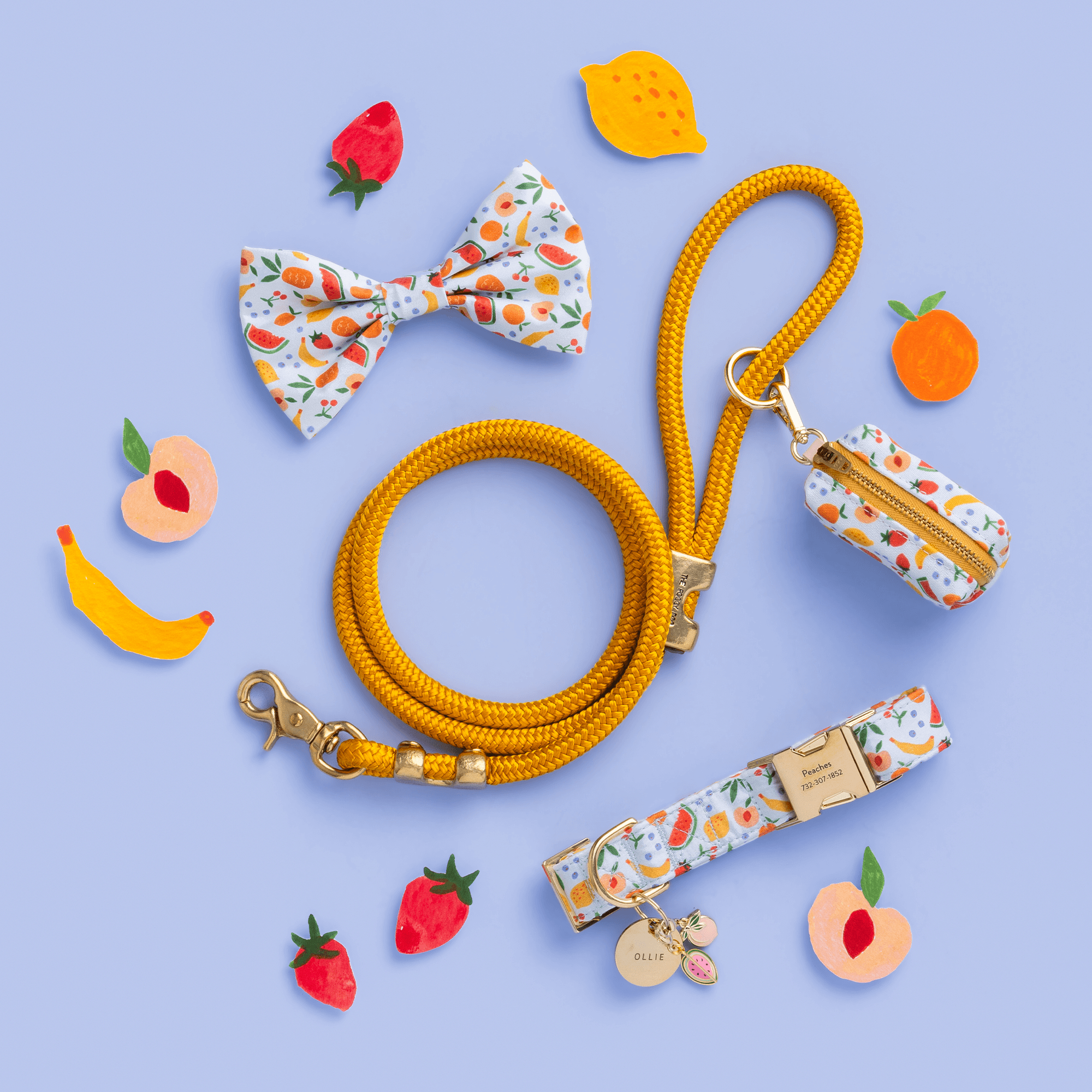 Goldenrod Marine Rope Dog Leash