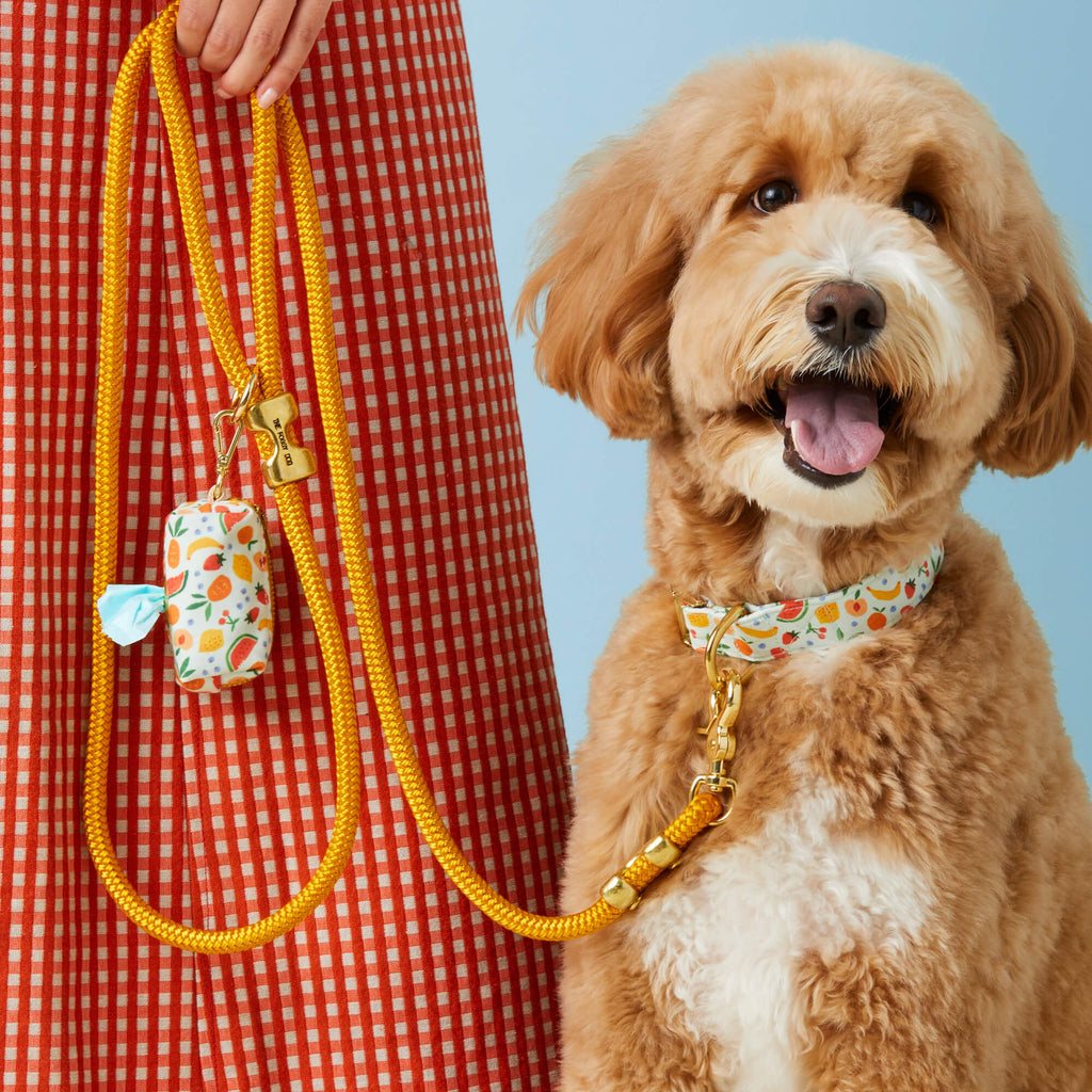 Goldenrod Marine Rope Dog Leash