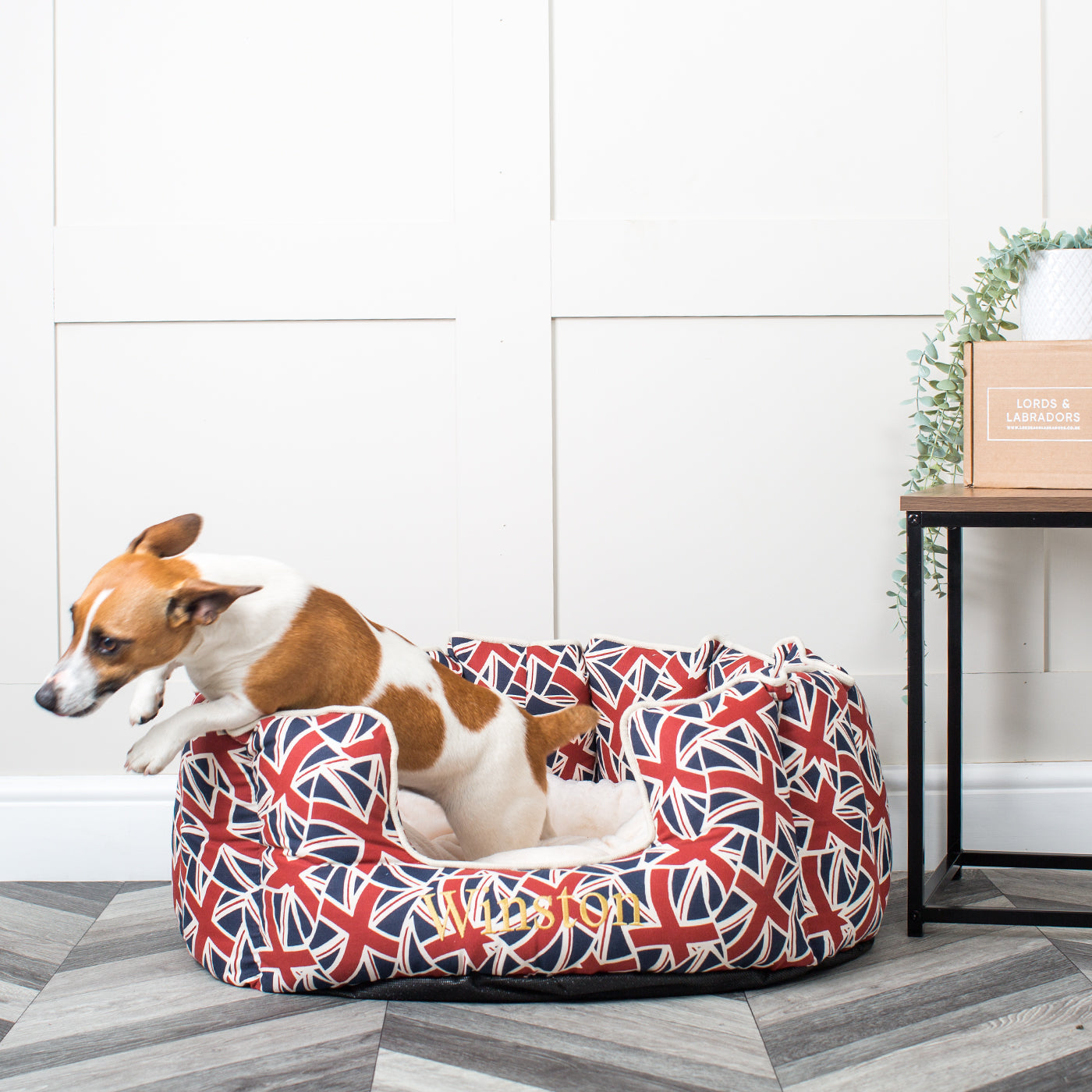 High Wall Bed For Dogs in Union Jack by Lords & Labradors