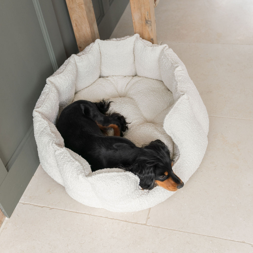 High Wall Bed For Dogs in Boucl¨¦ by Lords & Labradors