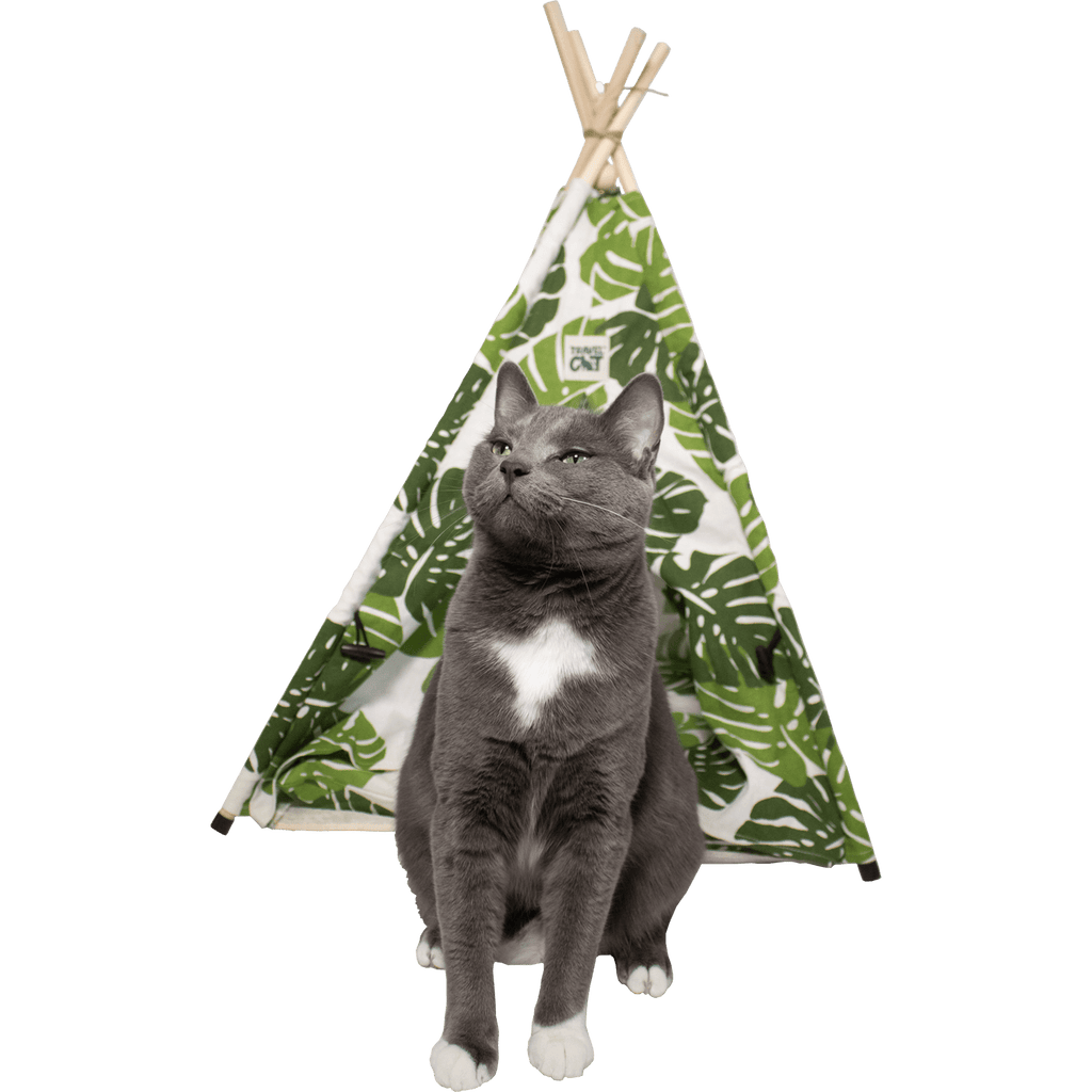 Travel Cat Monsera Cat Tent Bed