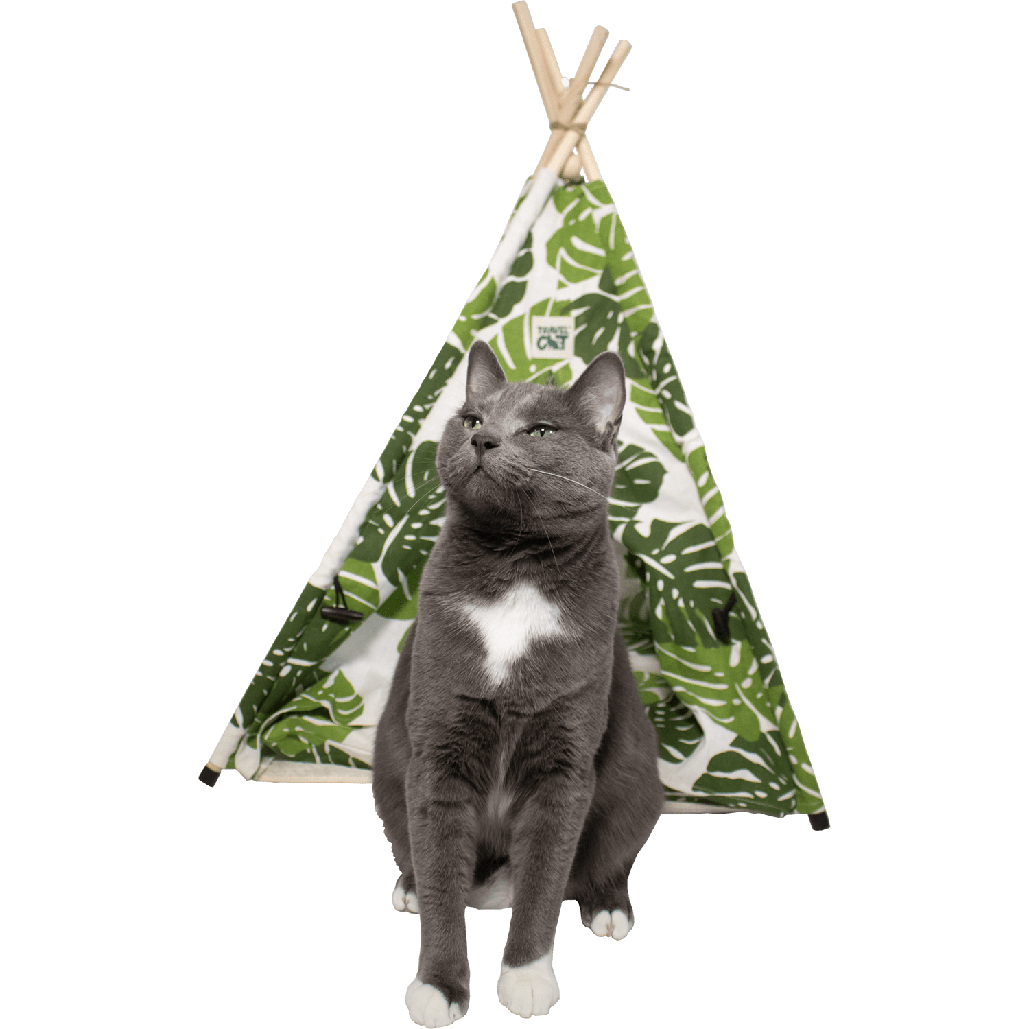 Travel Cat Monsera Cat Tent Bed