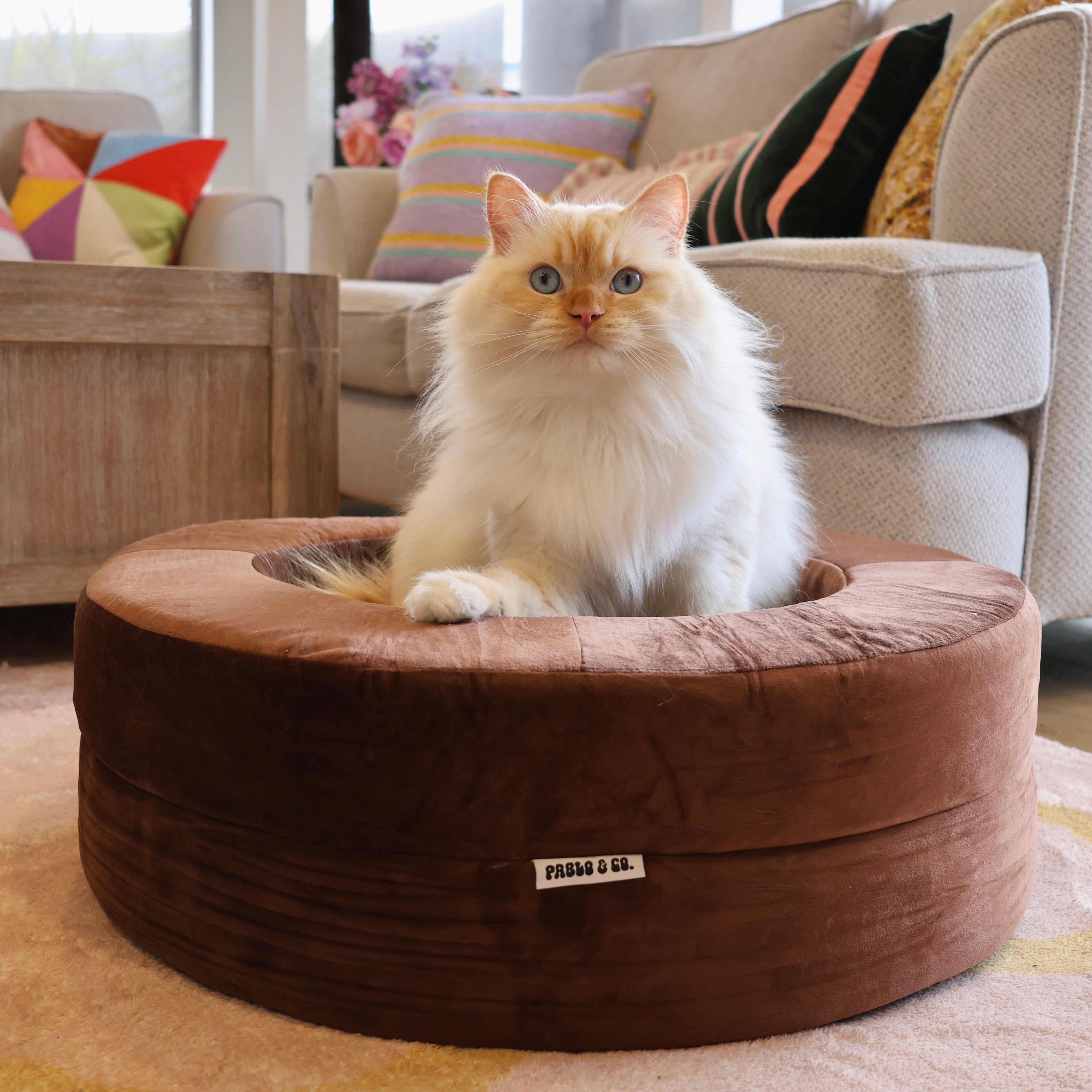 Orthopedic Memory Foam Velvet Donut Dog Bed: Dark Chocolate