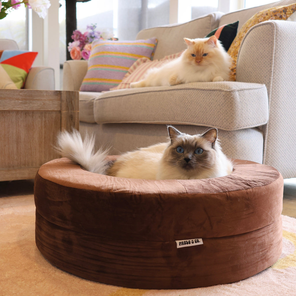 Orthopedic Memory Foam Velvet Donut Dog Bed: Dark Chocolate