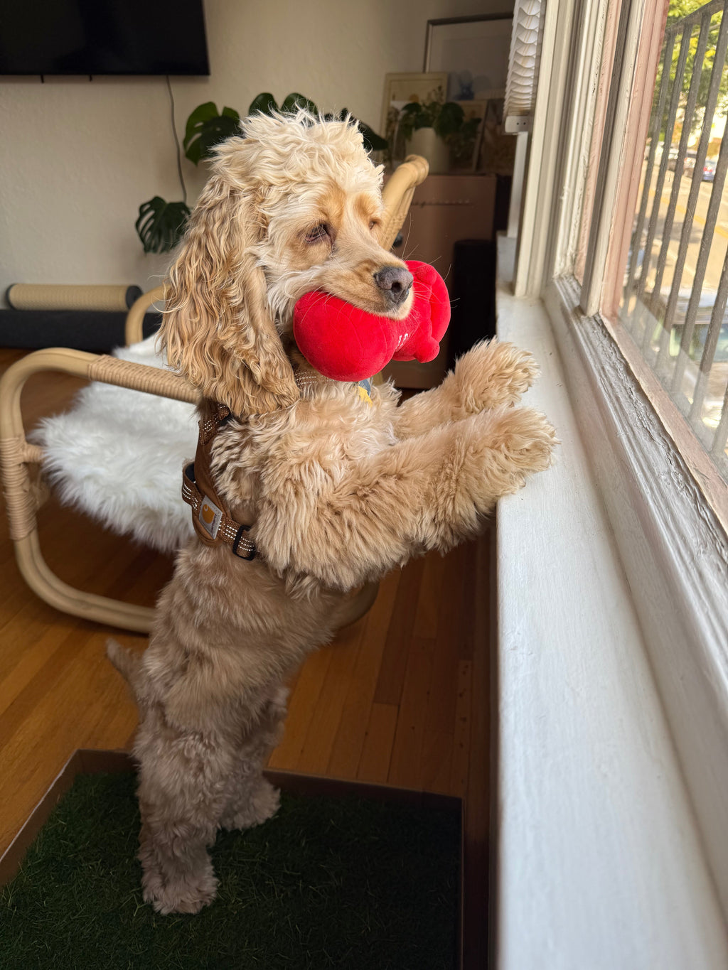 Fresh Patch Plush Fire Hydrant Toy