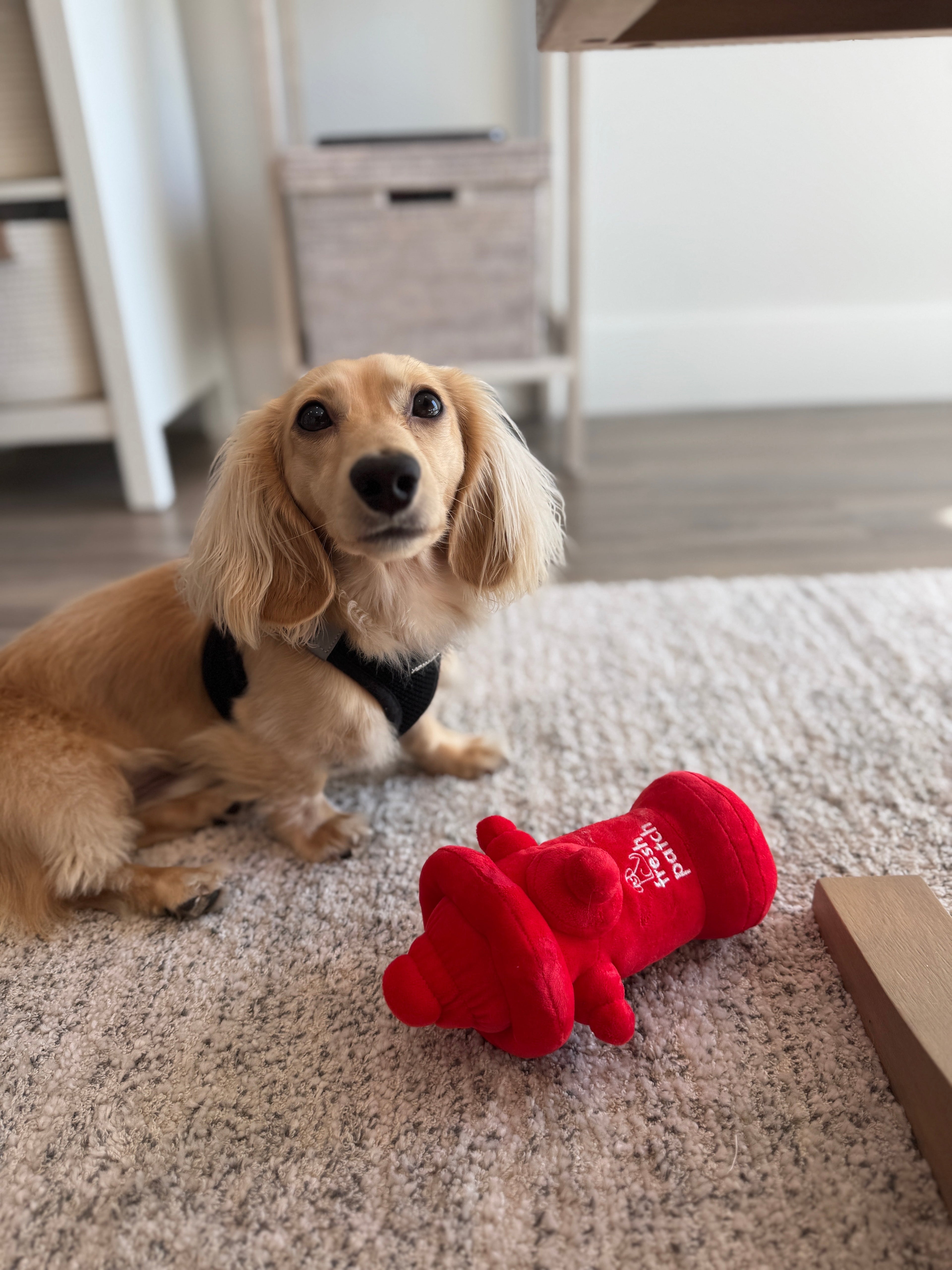 Fresh Patch Plush Fire Hydrant Toy