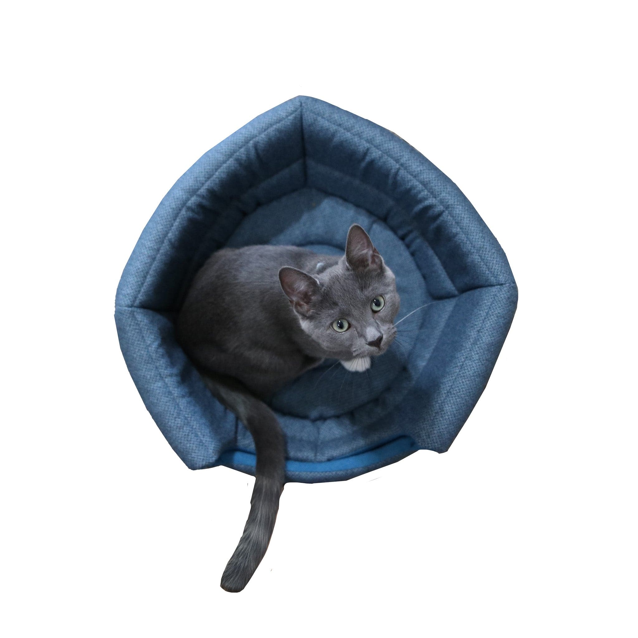 The Meowbile Home Convertible Cat Bed & Cave - Blue