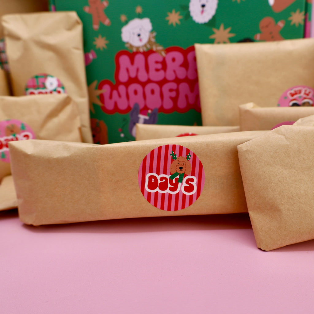 12 days of Woofmas Advent Calendar Box