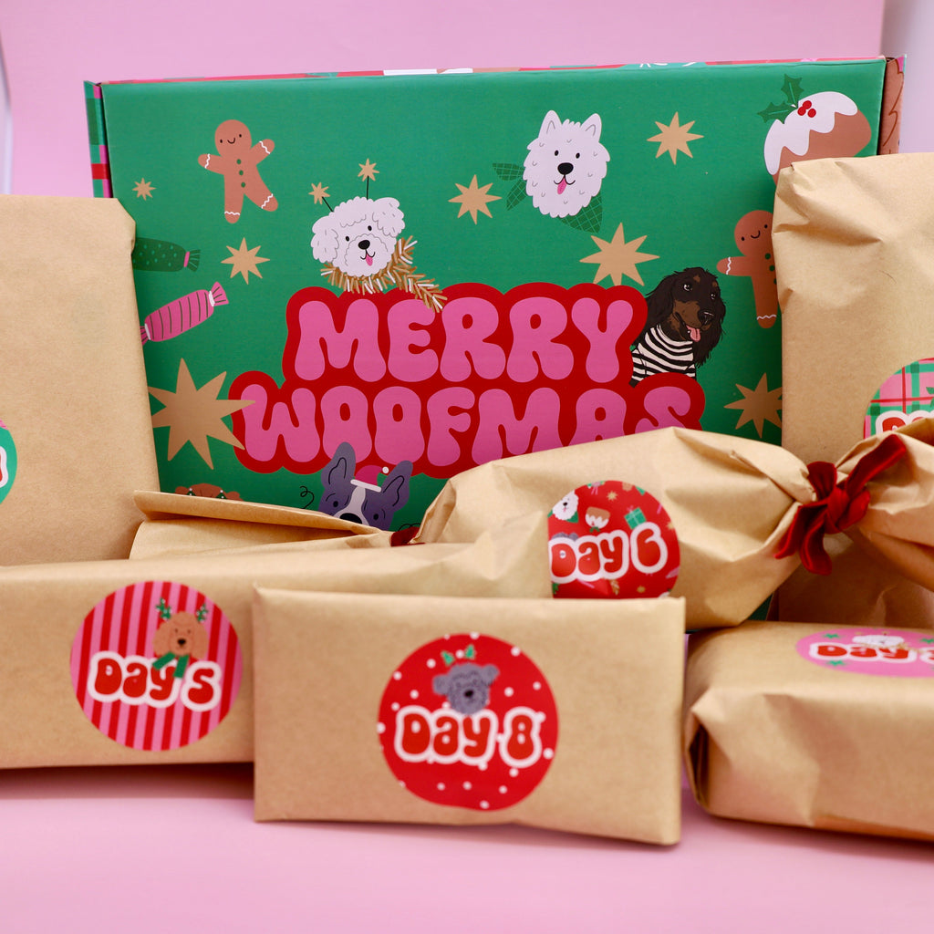 12 days of Woofmas Advent Calendar Box