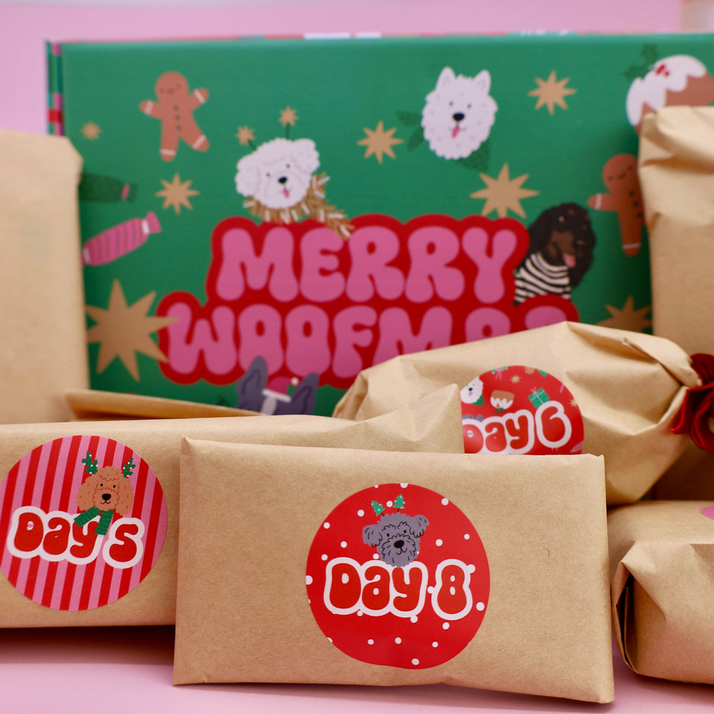 12 days of Woofmas Advent Calendar Box