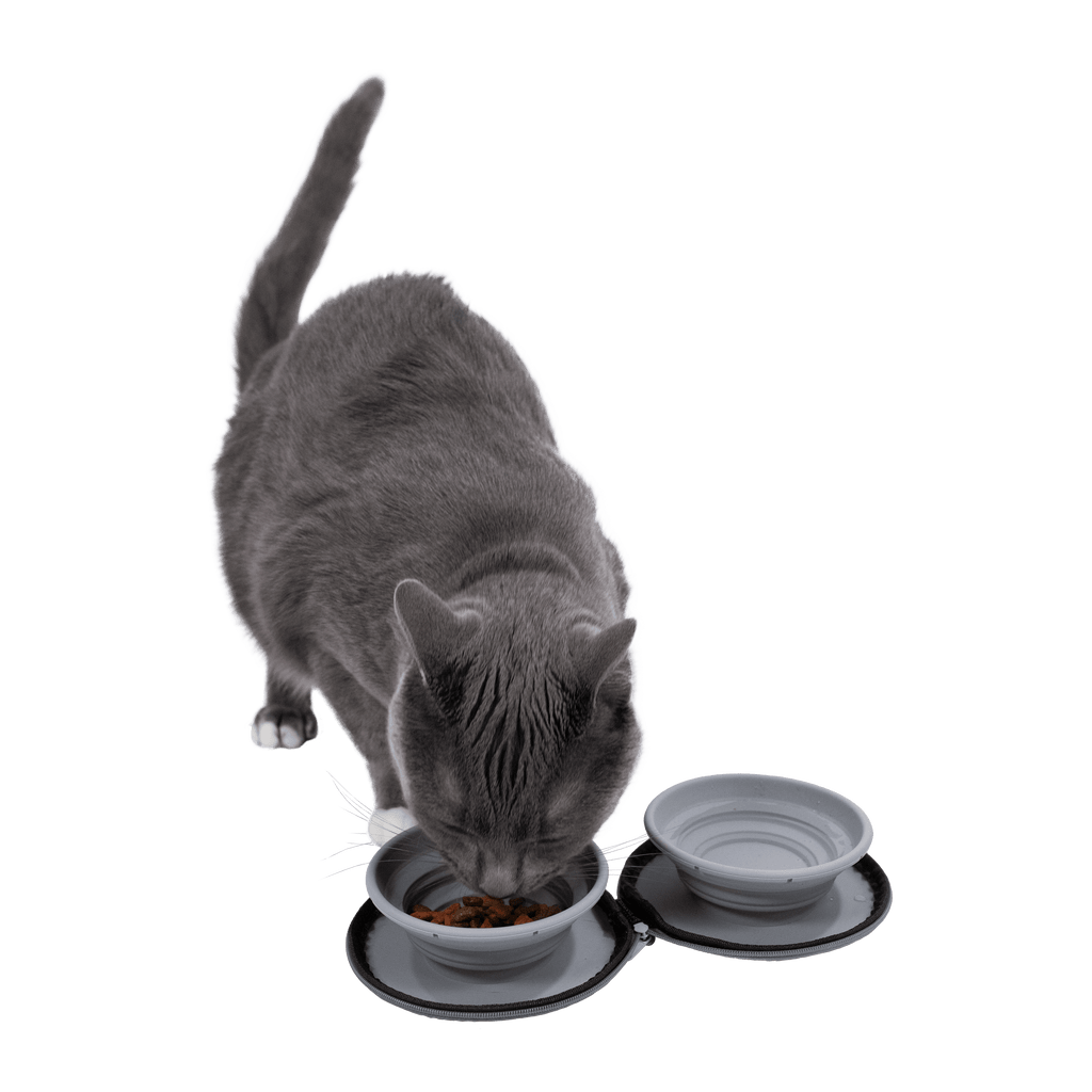 Travel Cat Double Sided Portable Zippered Bowl