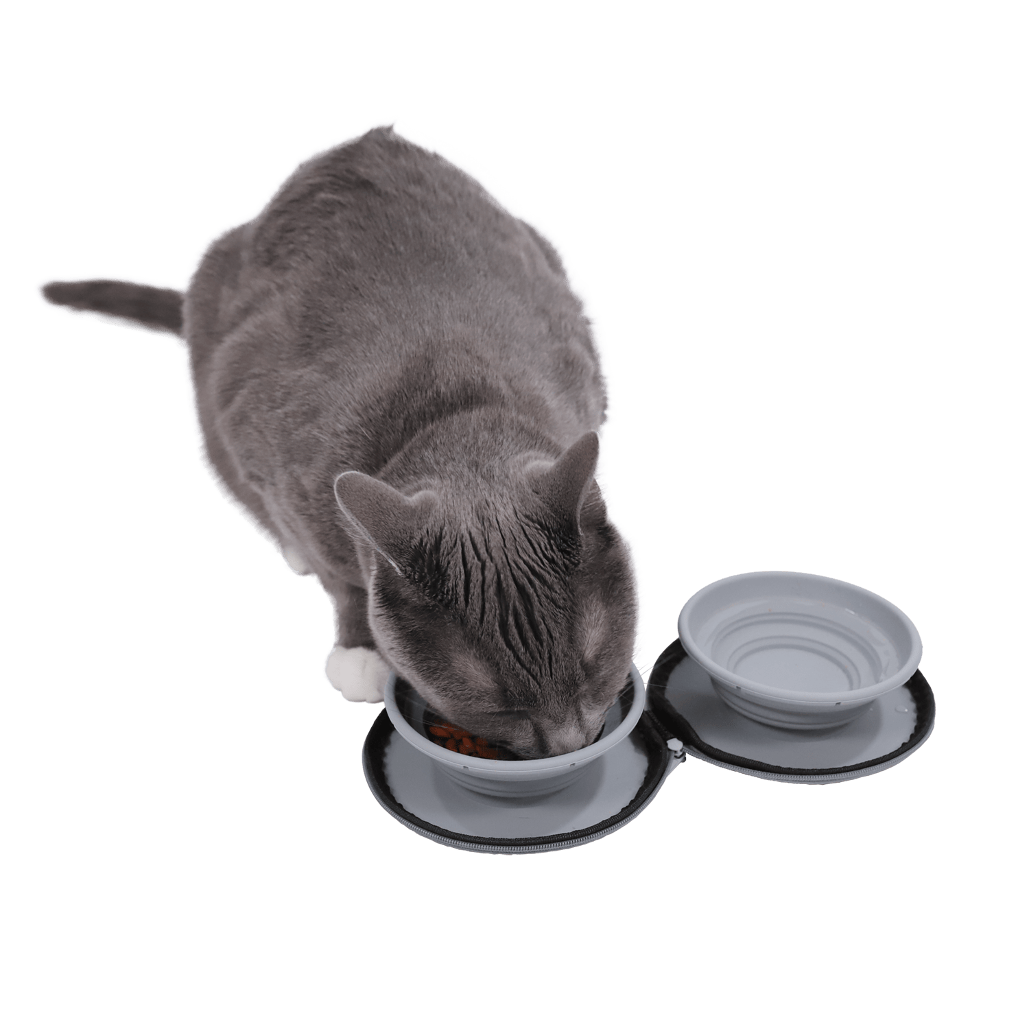 Travel Cat Double Sided Portable Zippered Bowl