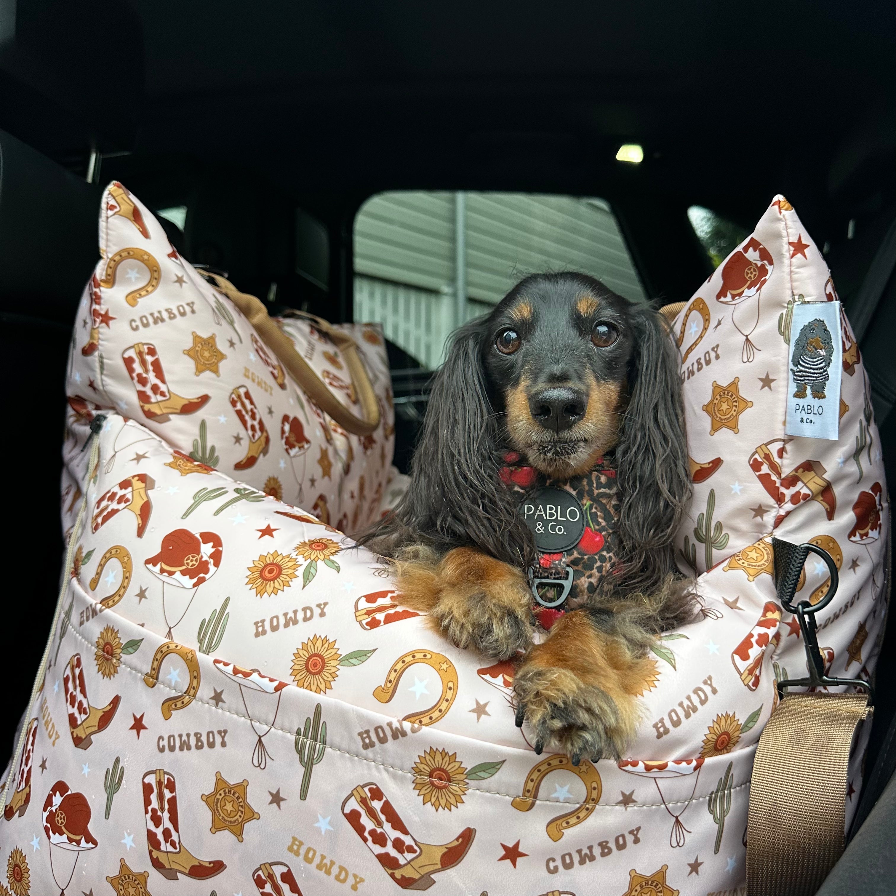 Deluxe Travel Car Bed: Howdy