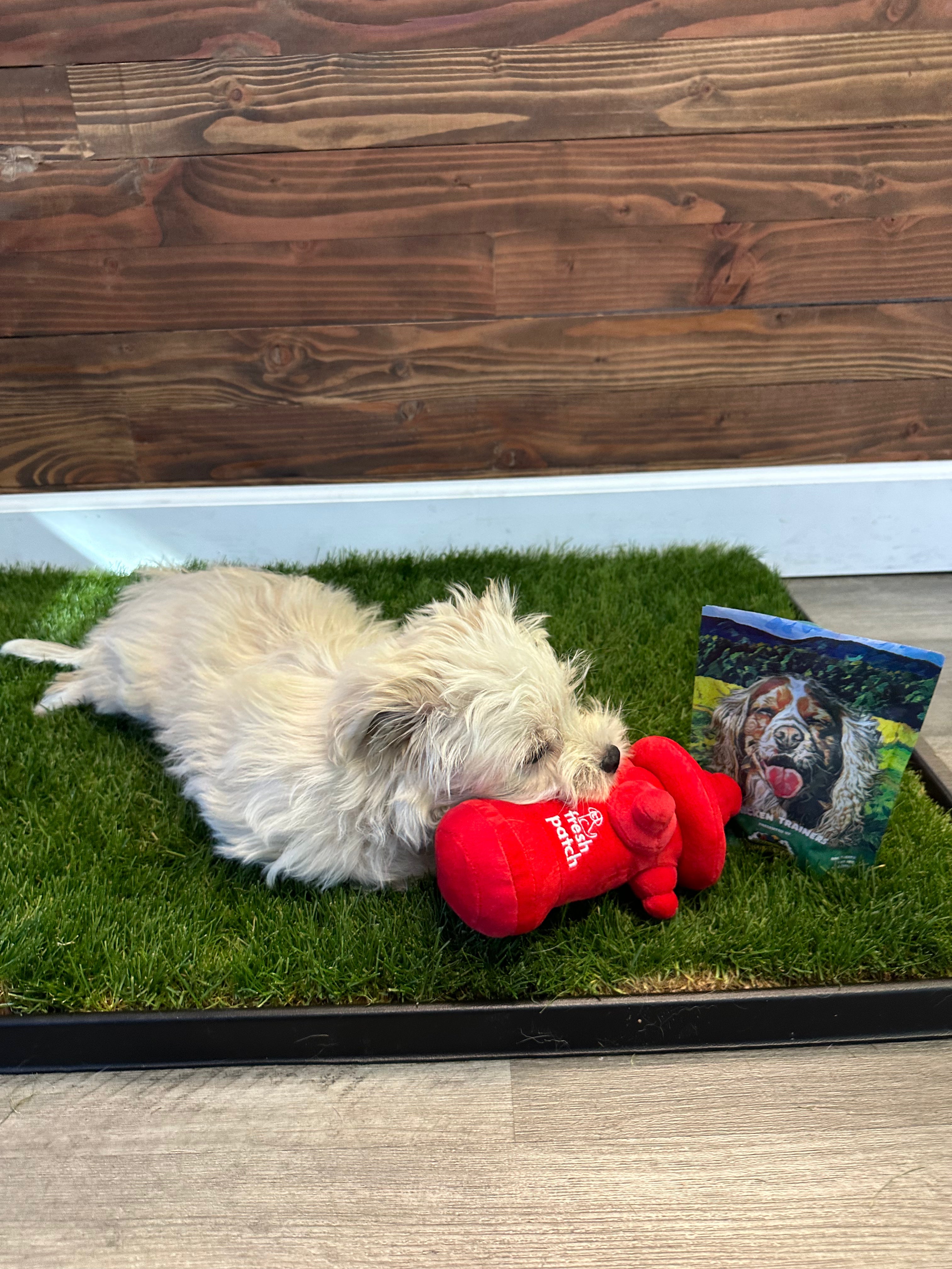 Fresh Patch Plush Fire Hydrant Toy