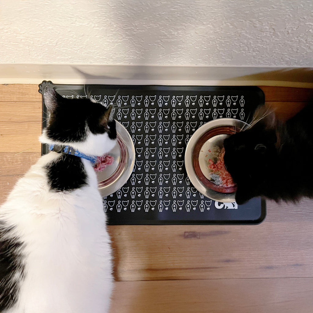 The Nice & Tidy Cat Food & Water Feeding Mat