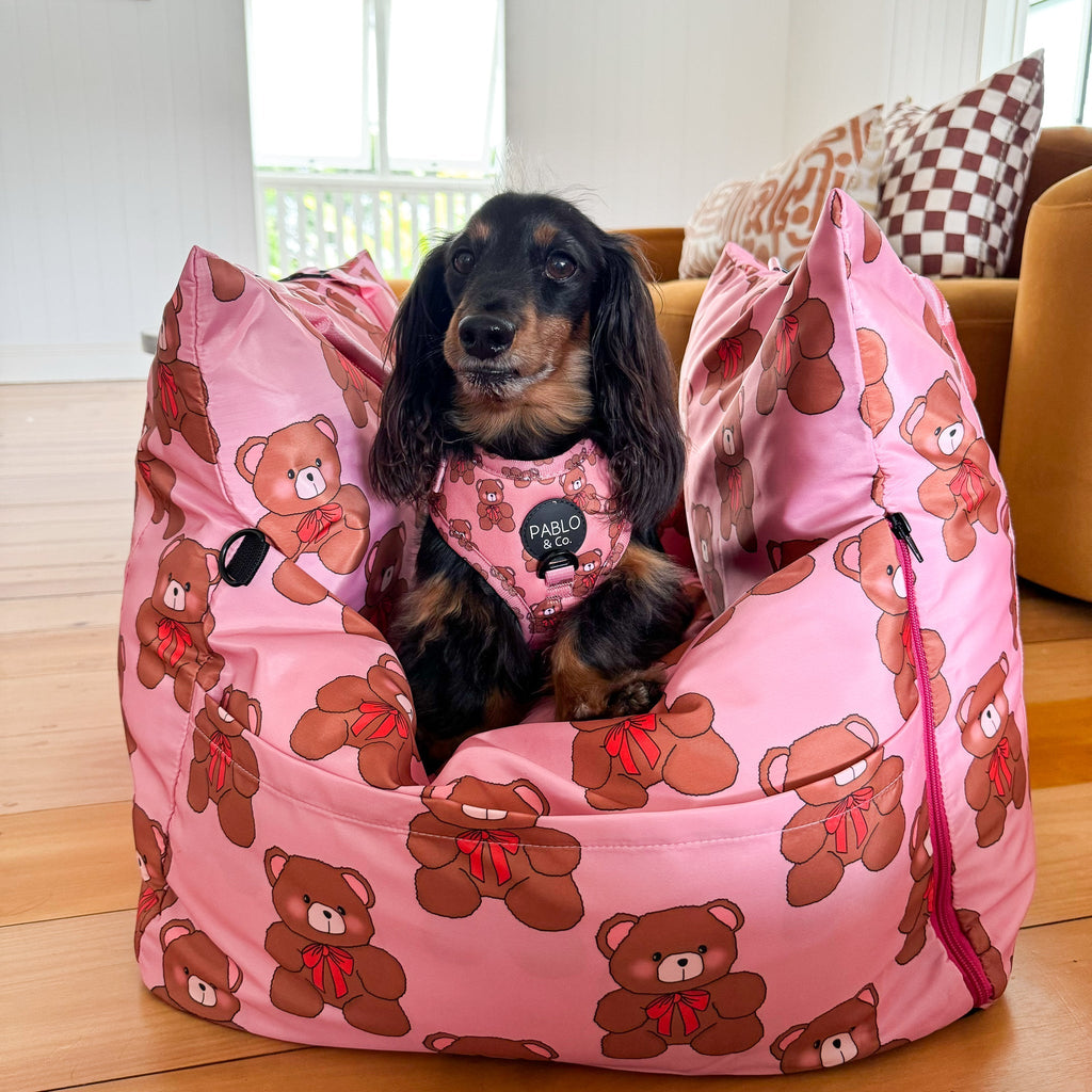 Deluxe Travel Car Bed: Teddies