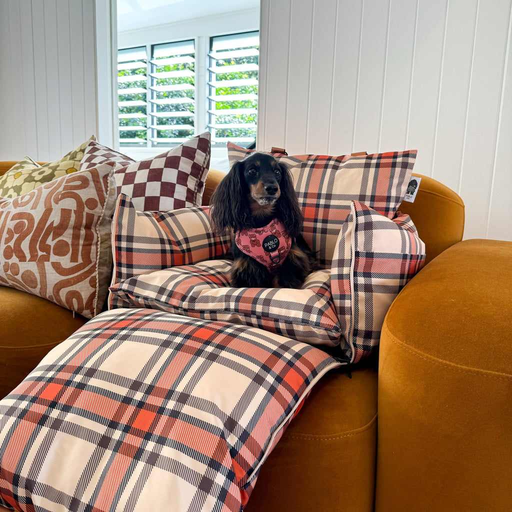 Deluxe Travel Car Bed: Kensington