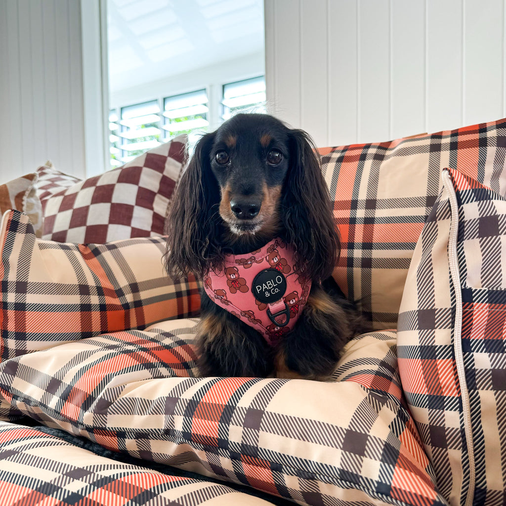 Deluxe Travel Car Bed: Kensington