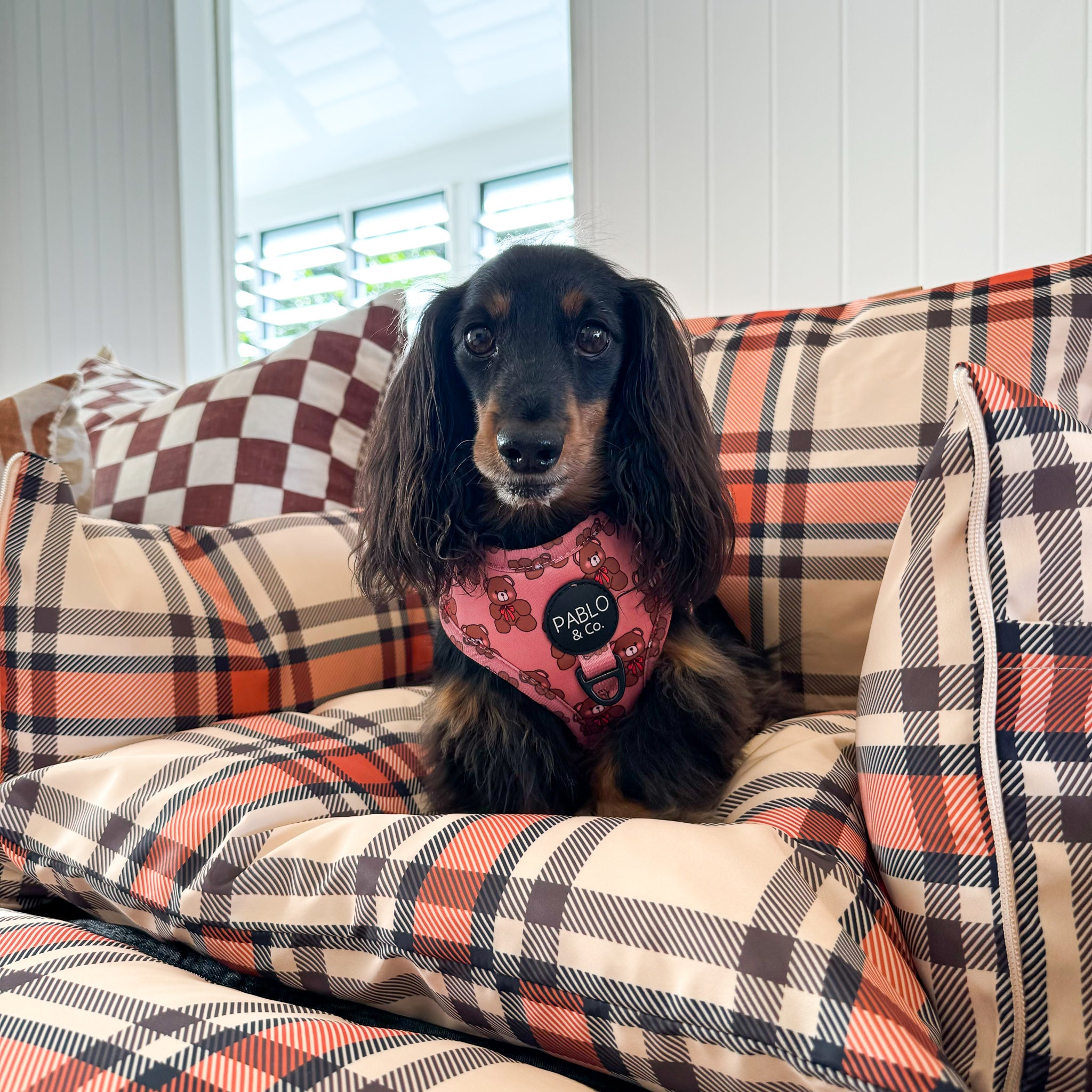 Deluxe Travel Car Bed: Kensington