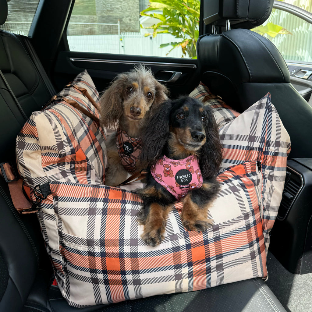 Deluxe Travel Car Bed: Kensington