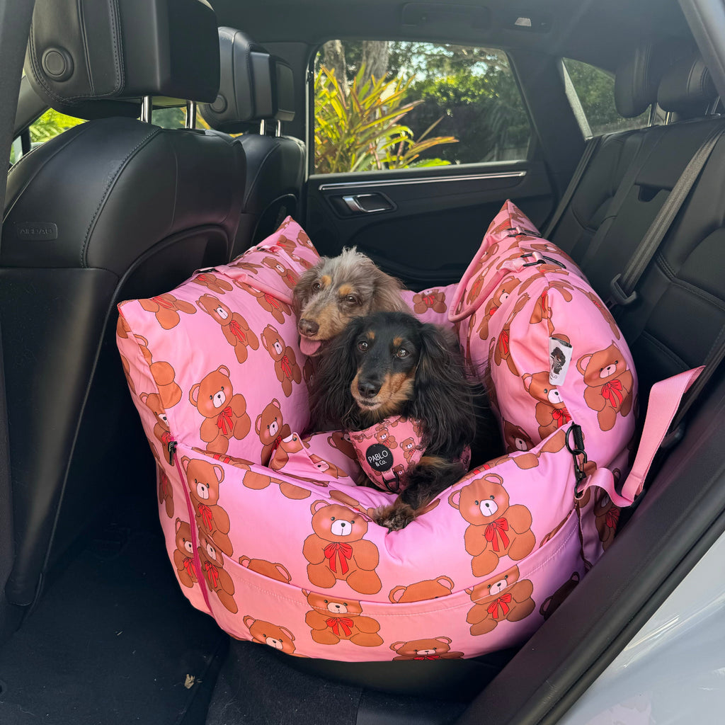 Deluxe Travel Car Bed: Teddies