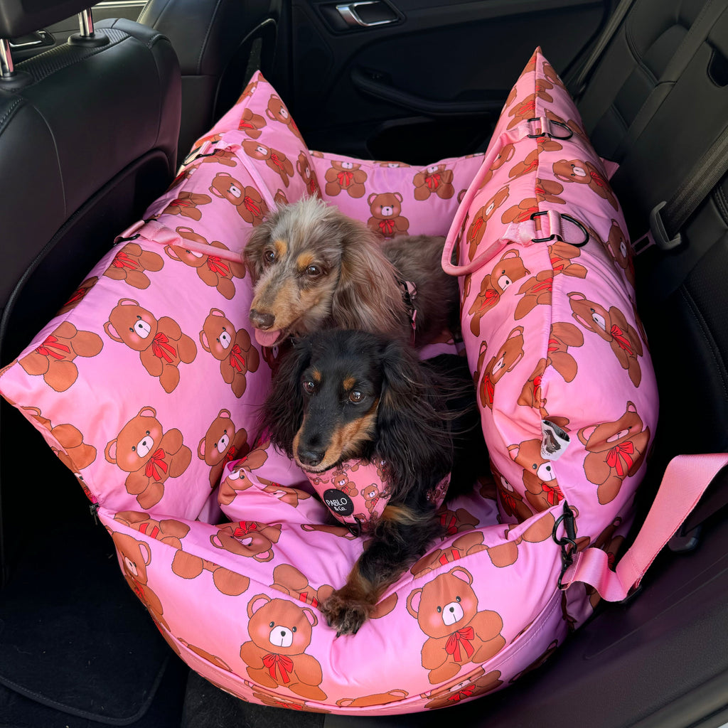 Deluxe Travel Car Bed: Teddies
