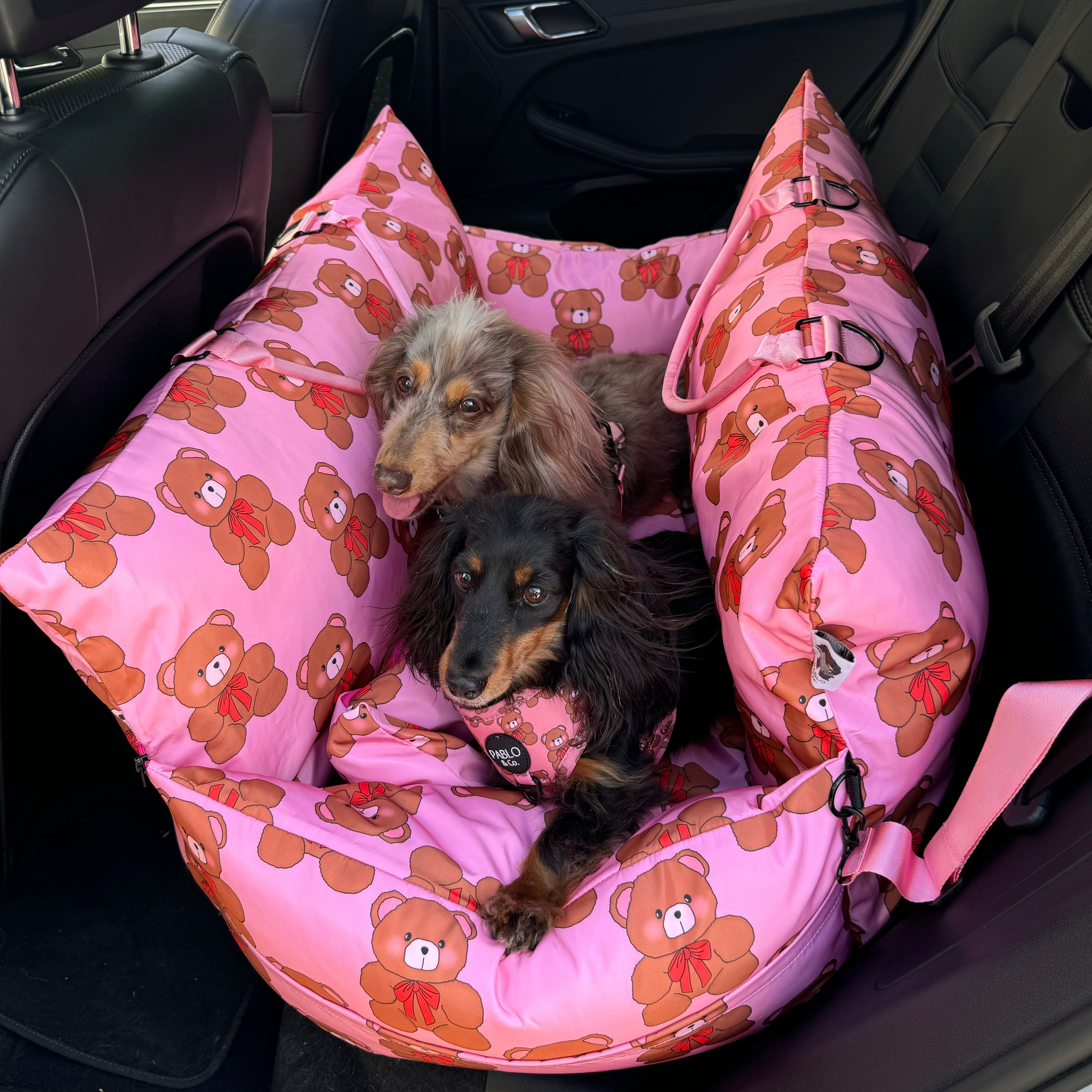 Deluxe Travel Car Bed: Teddies