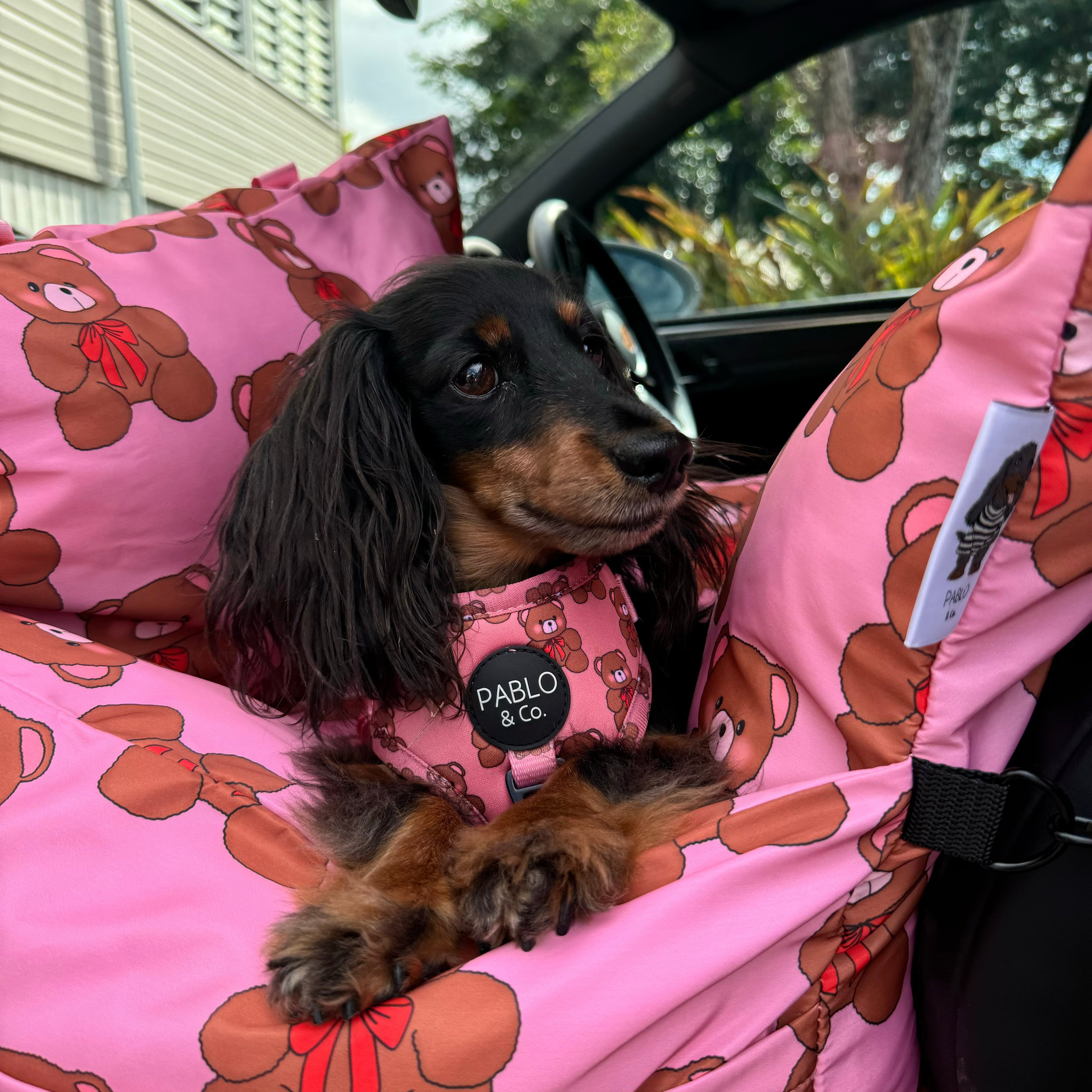 Deluxe Travel Car Bed: Teddies