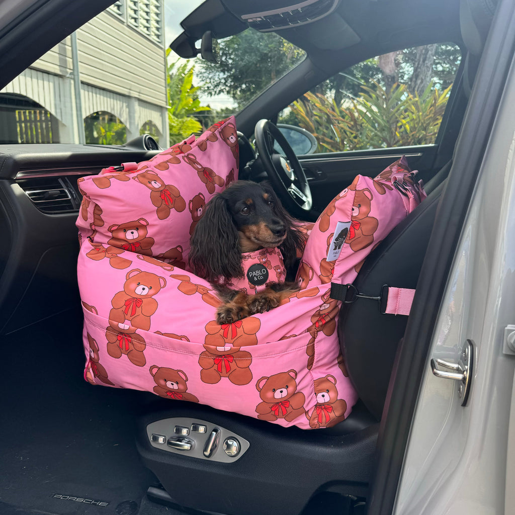 Deluxe Travel Car Bed: Teddies