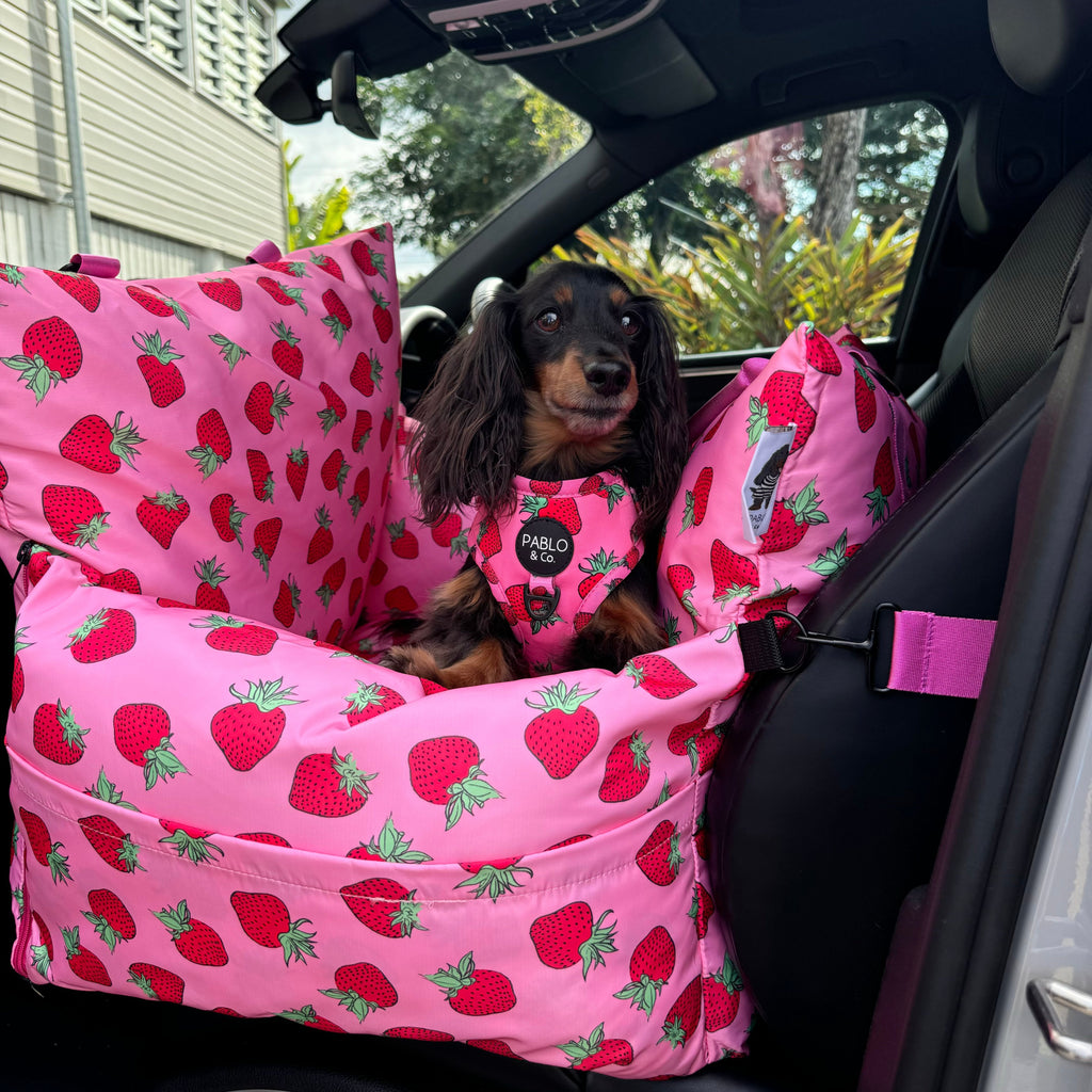 Deluxe Travel Car Bed: Strawberries