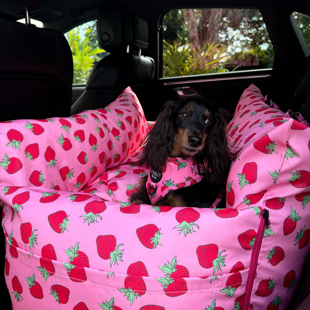 Deluxe Travel Car Bed: Strawberries