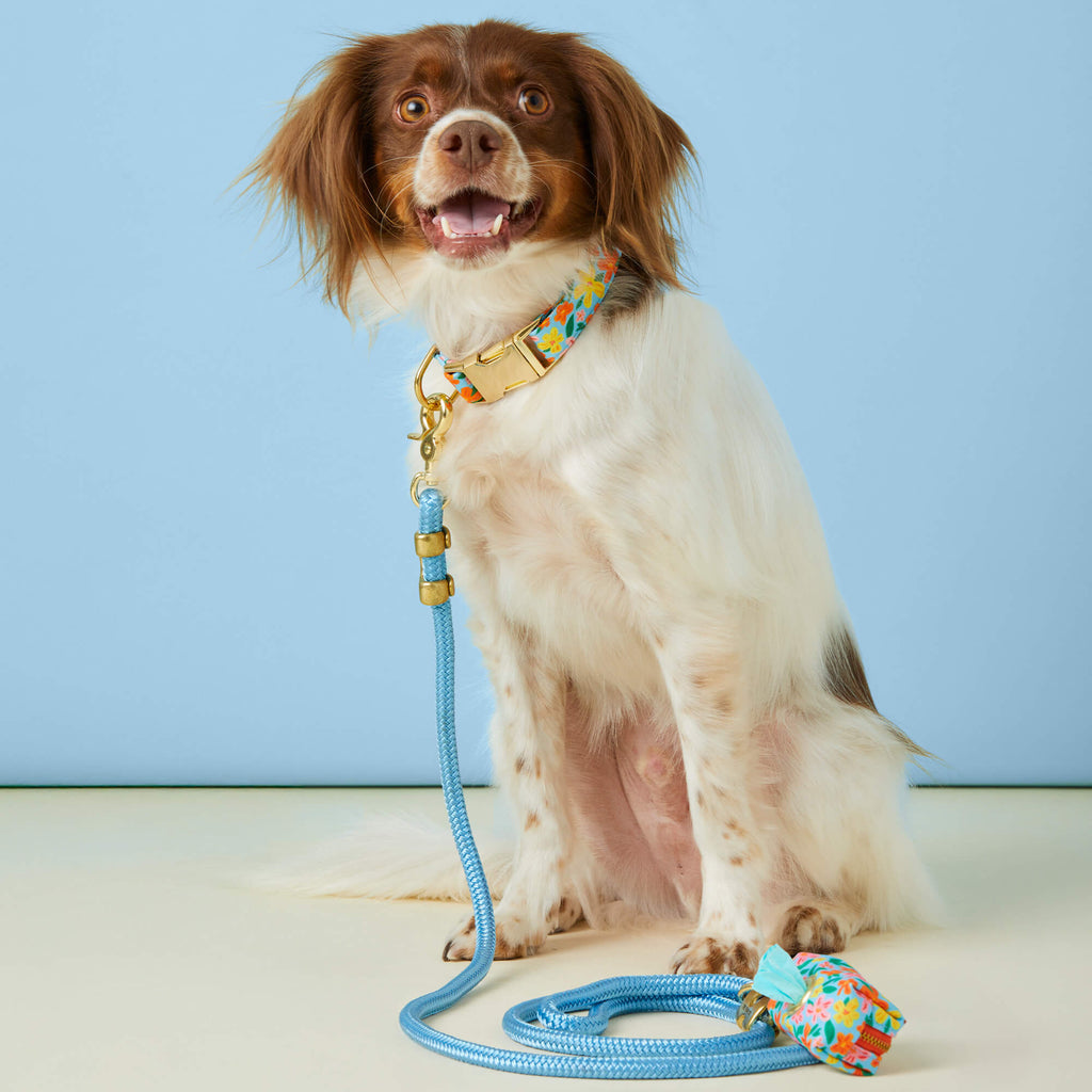 Powder Blue Marine Rope Dog Leash
