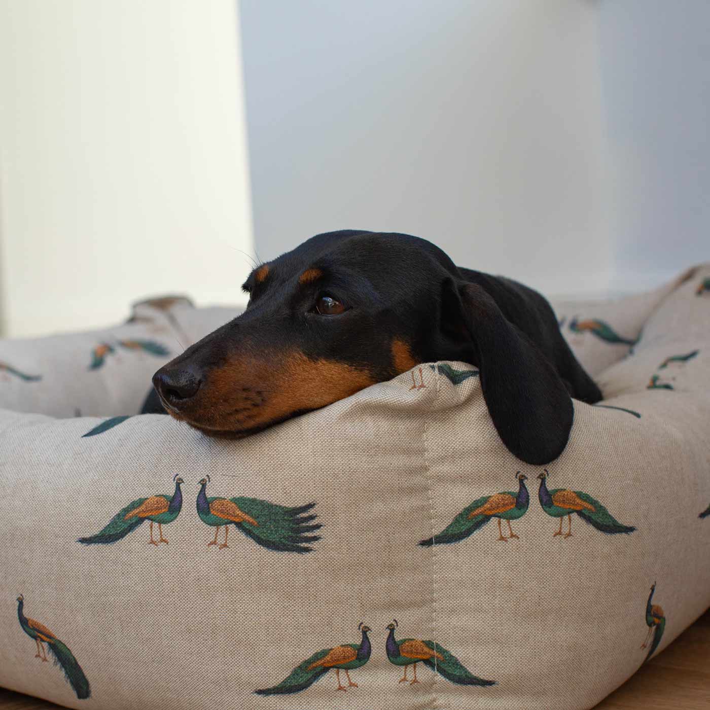 Box Bed For Dogs in Woodlands by Lords & Labradors