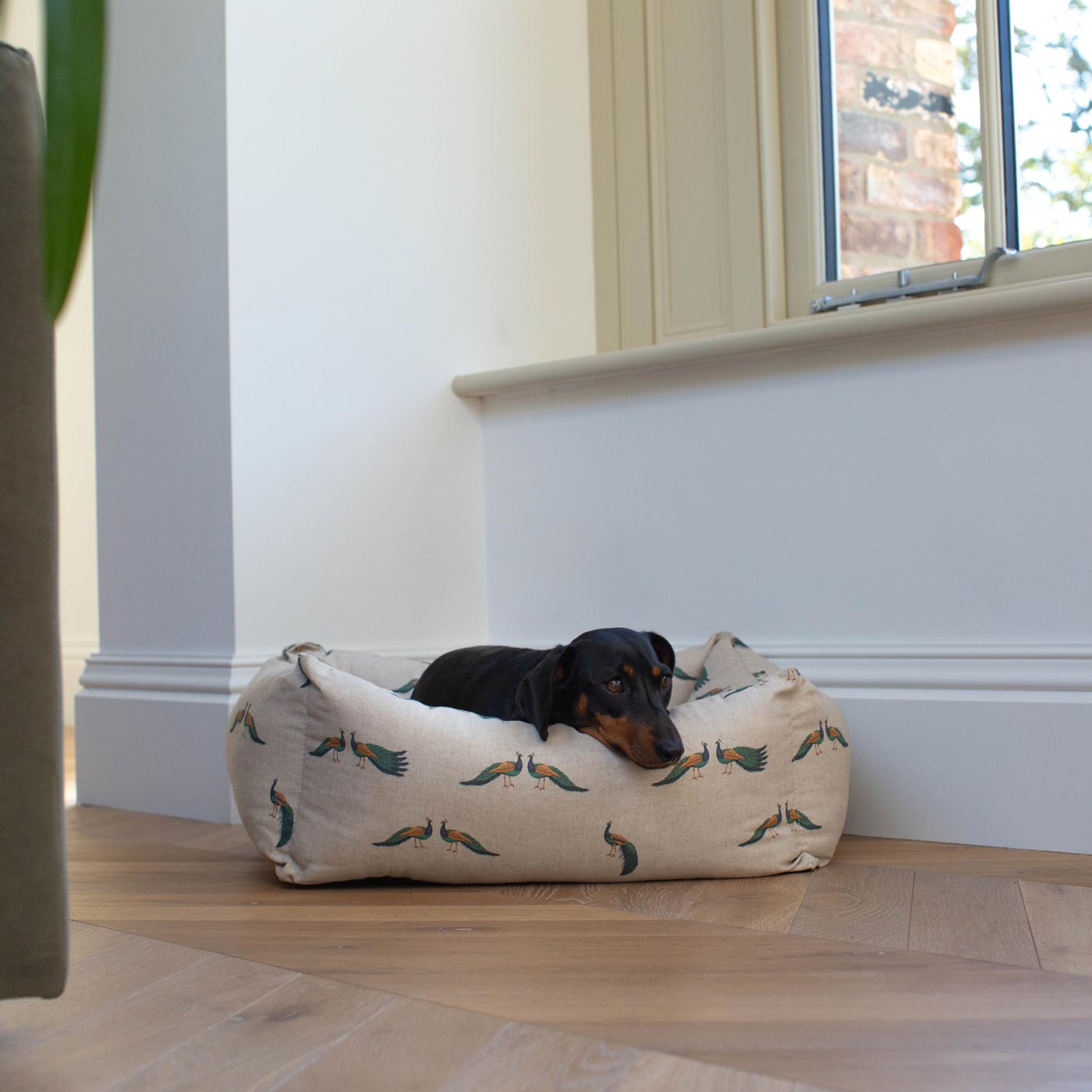 Box Bed For Dogs in Woodlands by Lords & Labradors