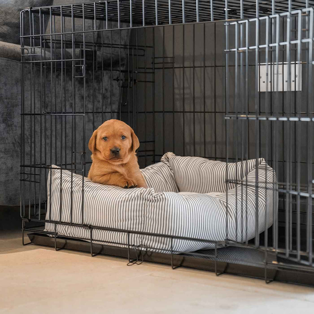 Cozy & Calming Puppy Cage Bed in Spots & Stripes by Lords & Labradors