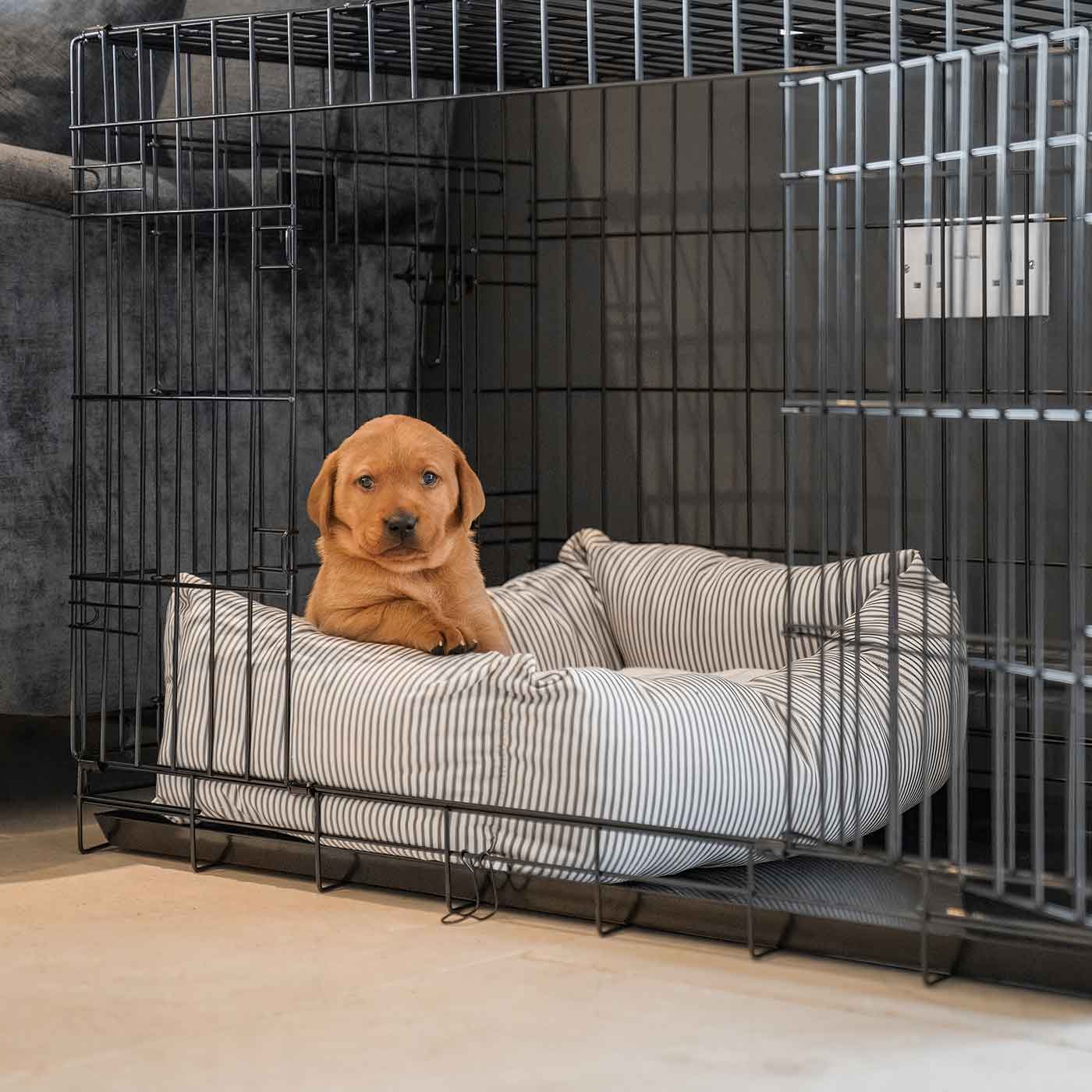 Cozy & Calming Puppy Cage Bed in Spots & Stripes by Lords & Labradors