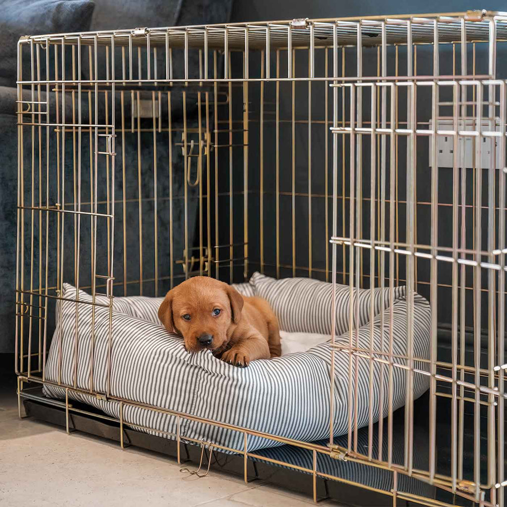 Cozy & Calming Puppy Cage Bed in Spots & Stripes by Lords & Labradors