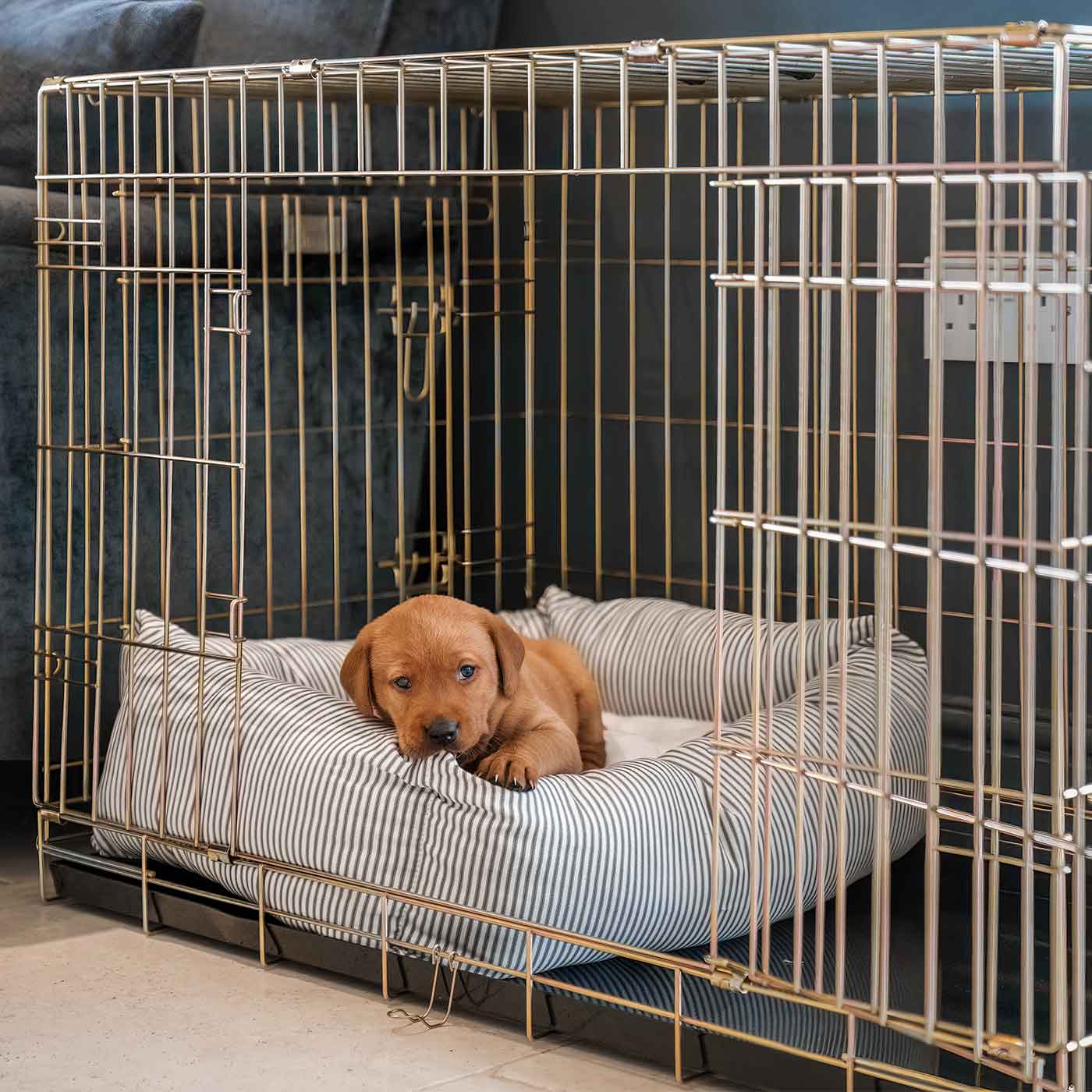 Cozy & Calming Puppy Cage Bed in Spots & Stripes by Lords & Labradors