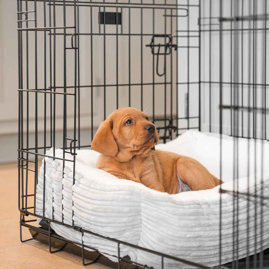 Cozy & Calming Puppy Cage Bed in Essentials Plush by Lords & Labradors