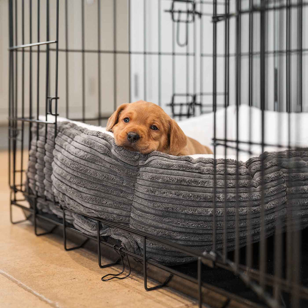Cozy & Calming Puppy Cage Bed in Essentials Plush by Lords & Labradors