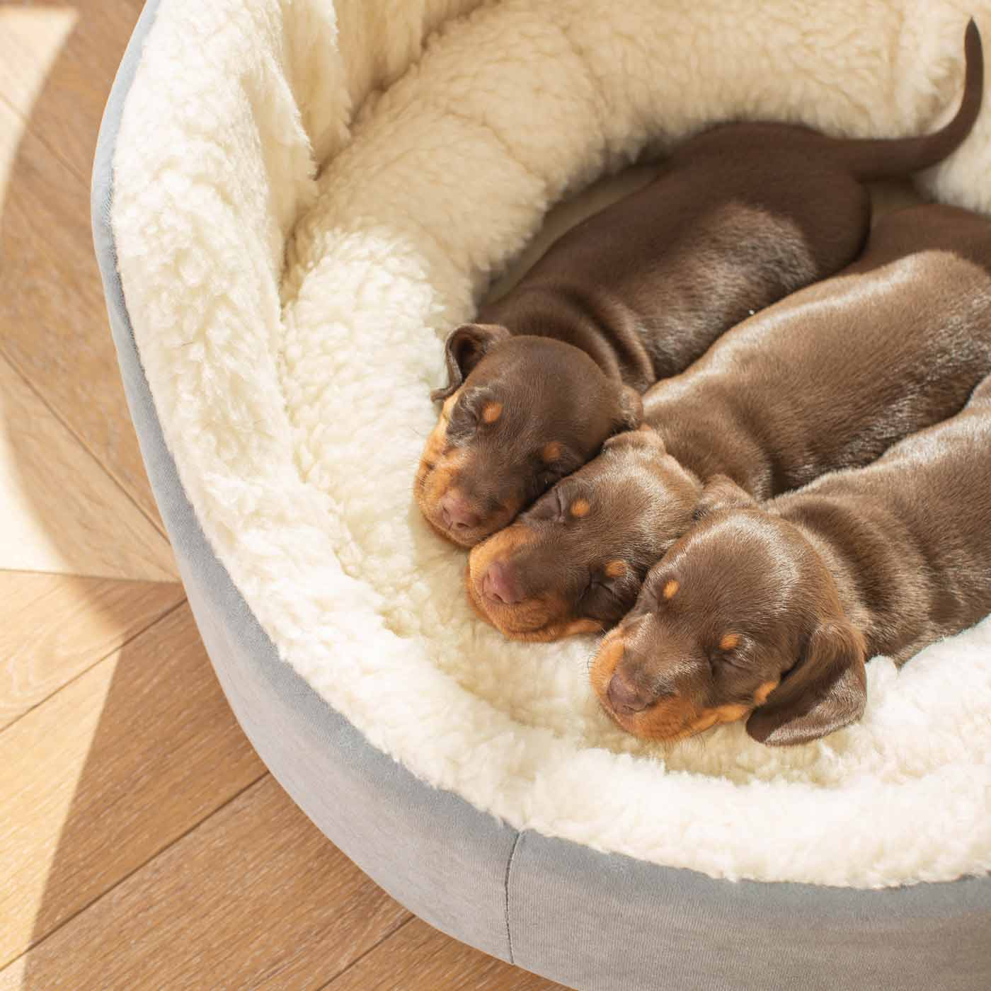 Grow With Me Puppy Bed in Grey by Lords & Labradors