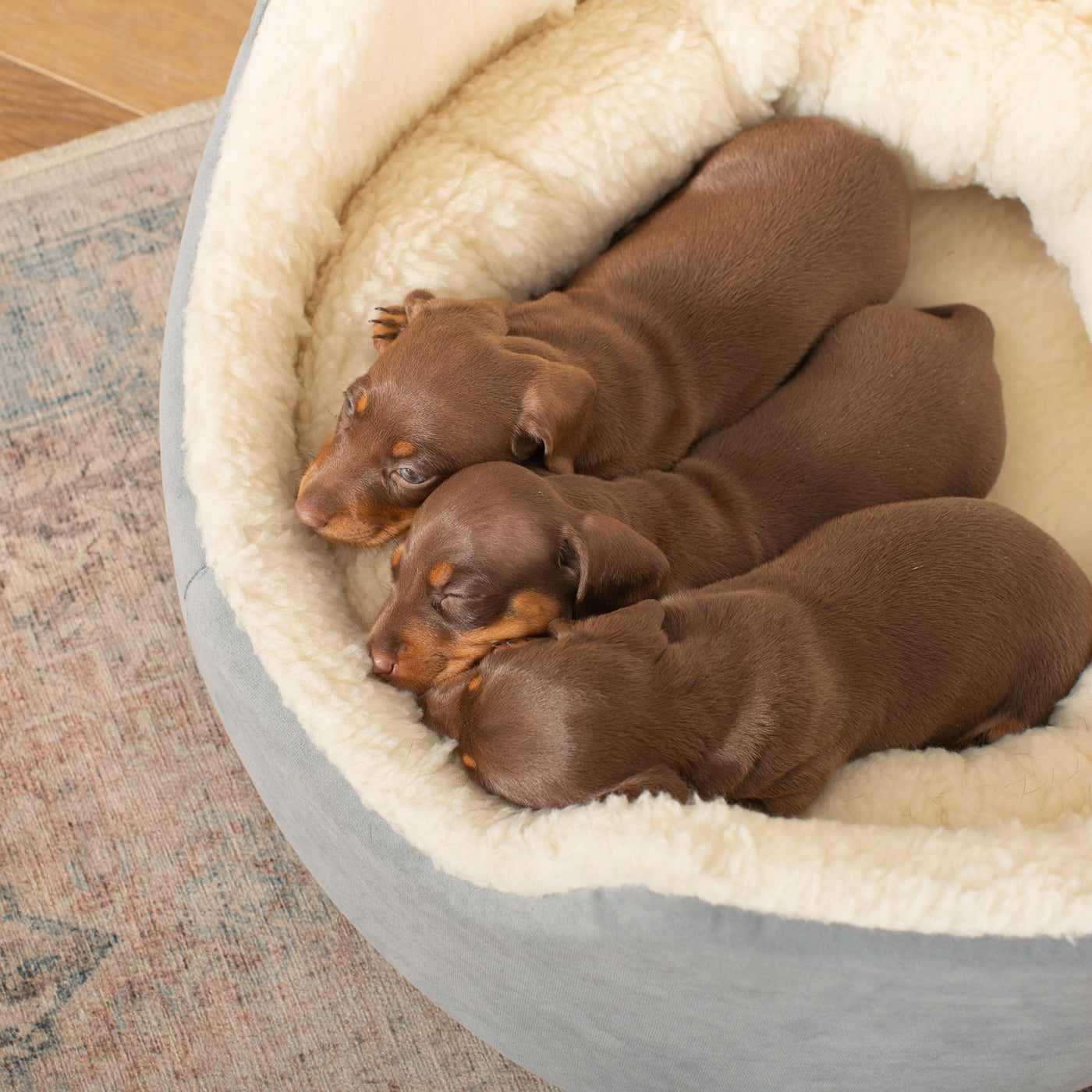 Grow With Me Puppy Bed in Grey by Lords & Labradors