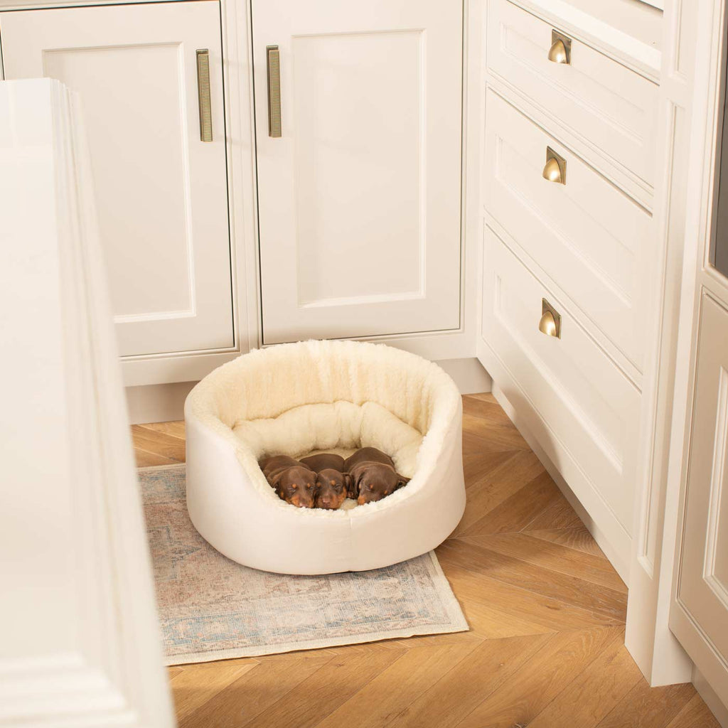 Grow With Me Puppy Bed in Cream by Lords & Labradors