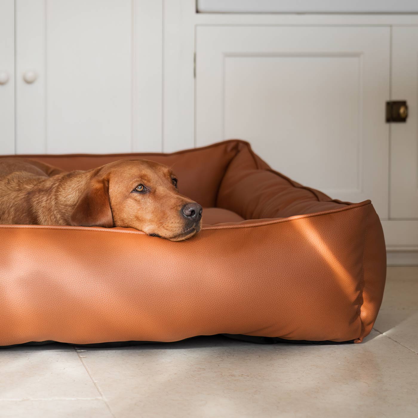 Box Bed in Rhino Tough Desert Faux Leather by Lords & Labradors