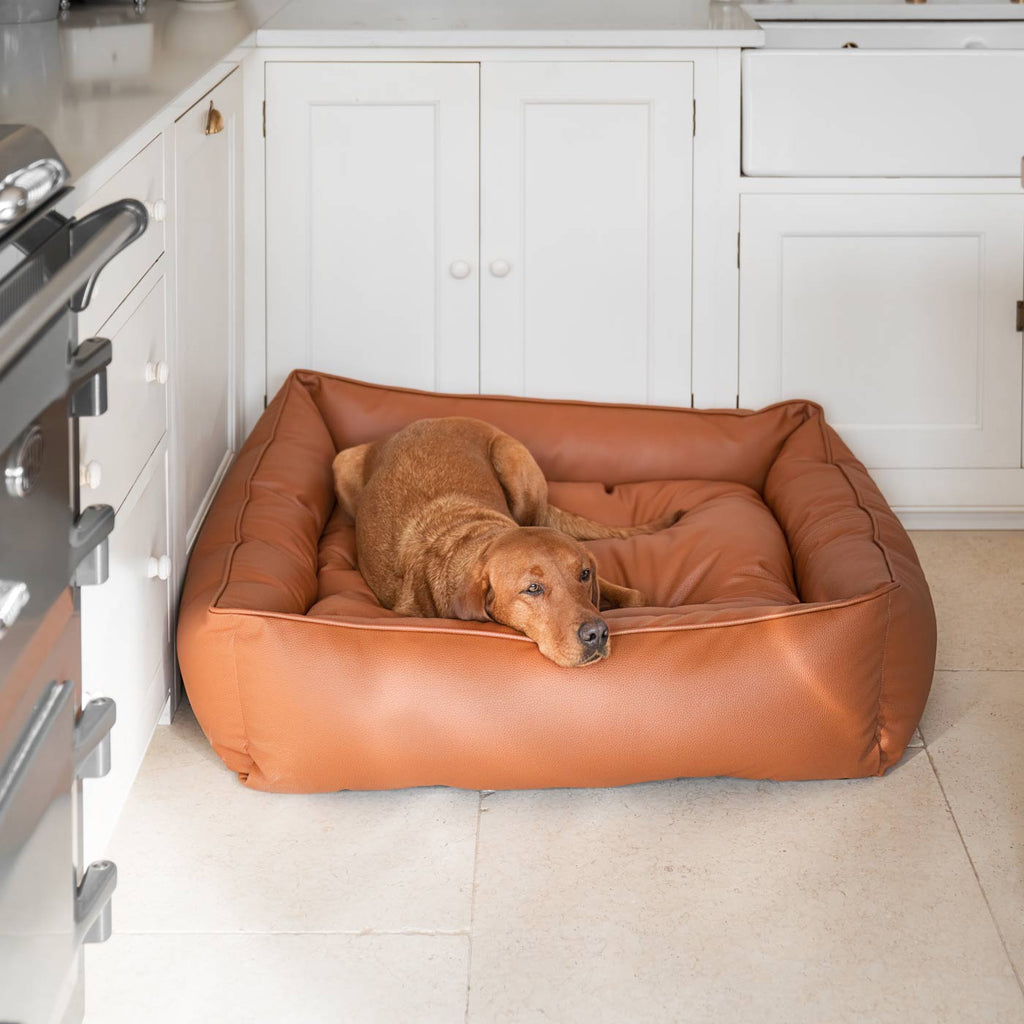 Box Bed in Rhino Tough Desert Faux Leather by Lords & Labradors