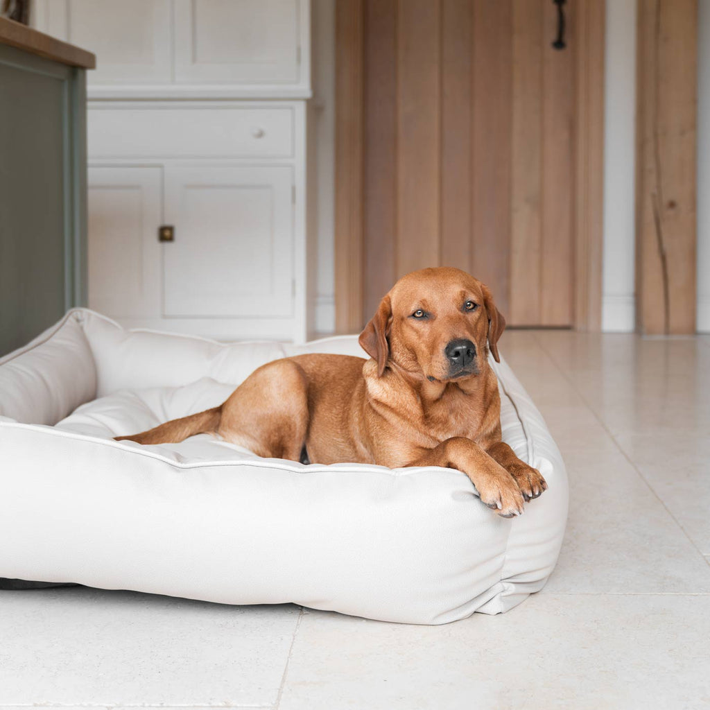 Box Bed in Rhino Tough Desert Faux Leather by Lords & Labradors
