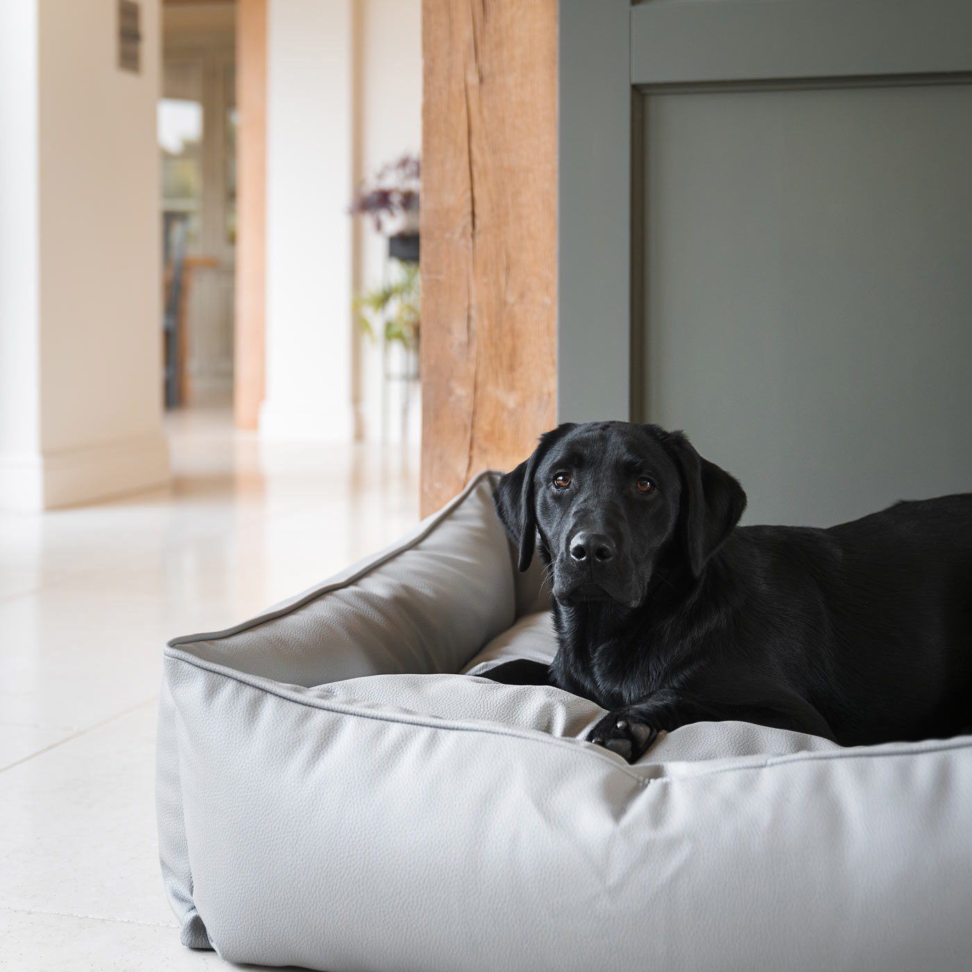 Box Bed in Rhino Tough Jungle Faux Leather by Lords & Labradors